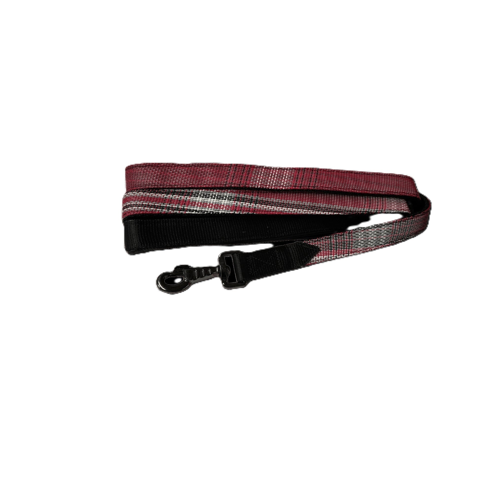 Kensington Nylon Dog Leash with Padding