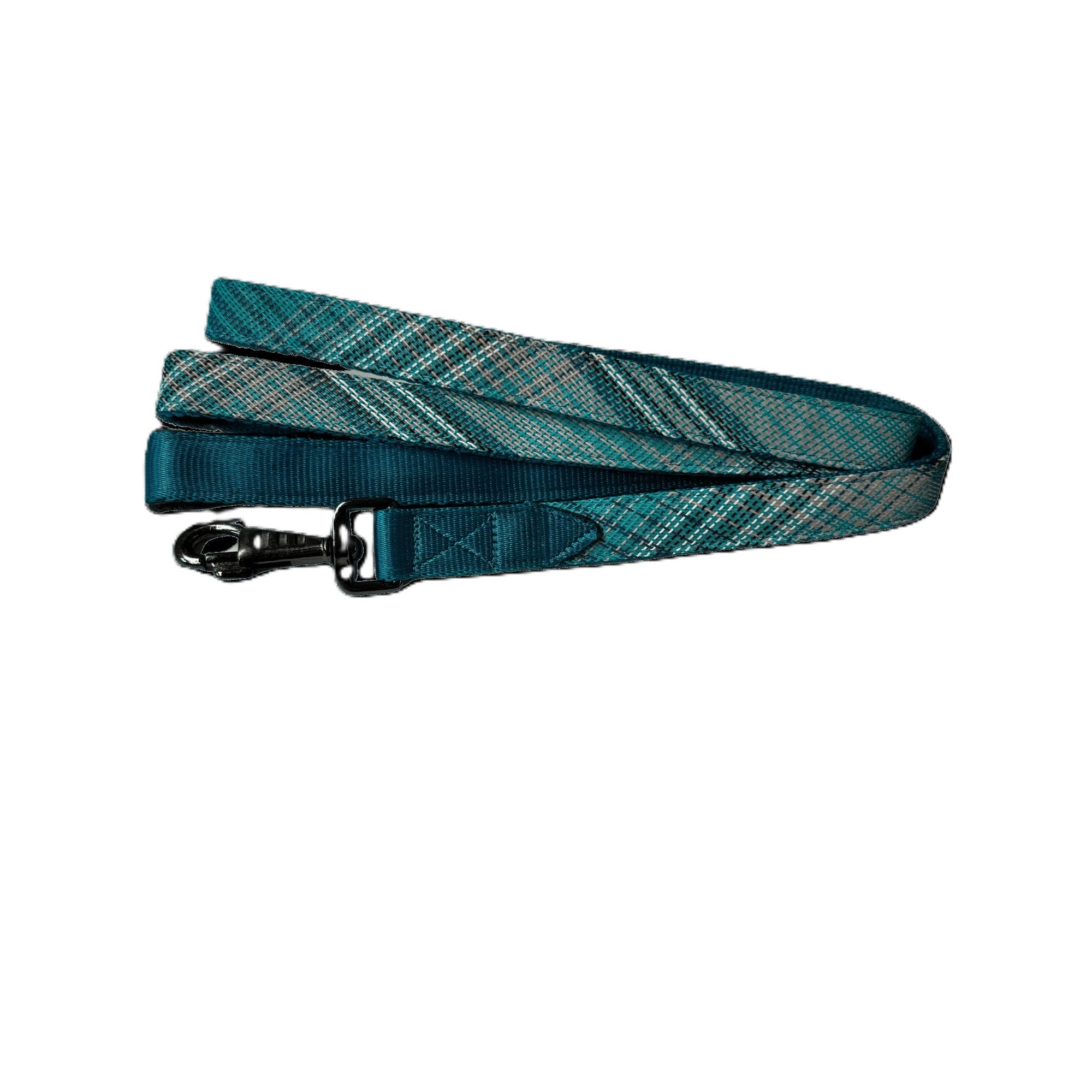 Kensington Nylon Dog Leash with Padding