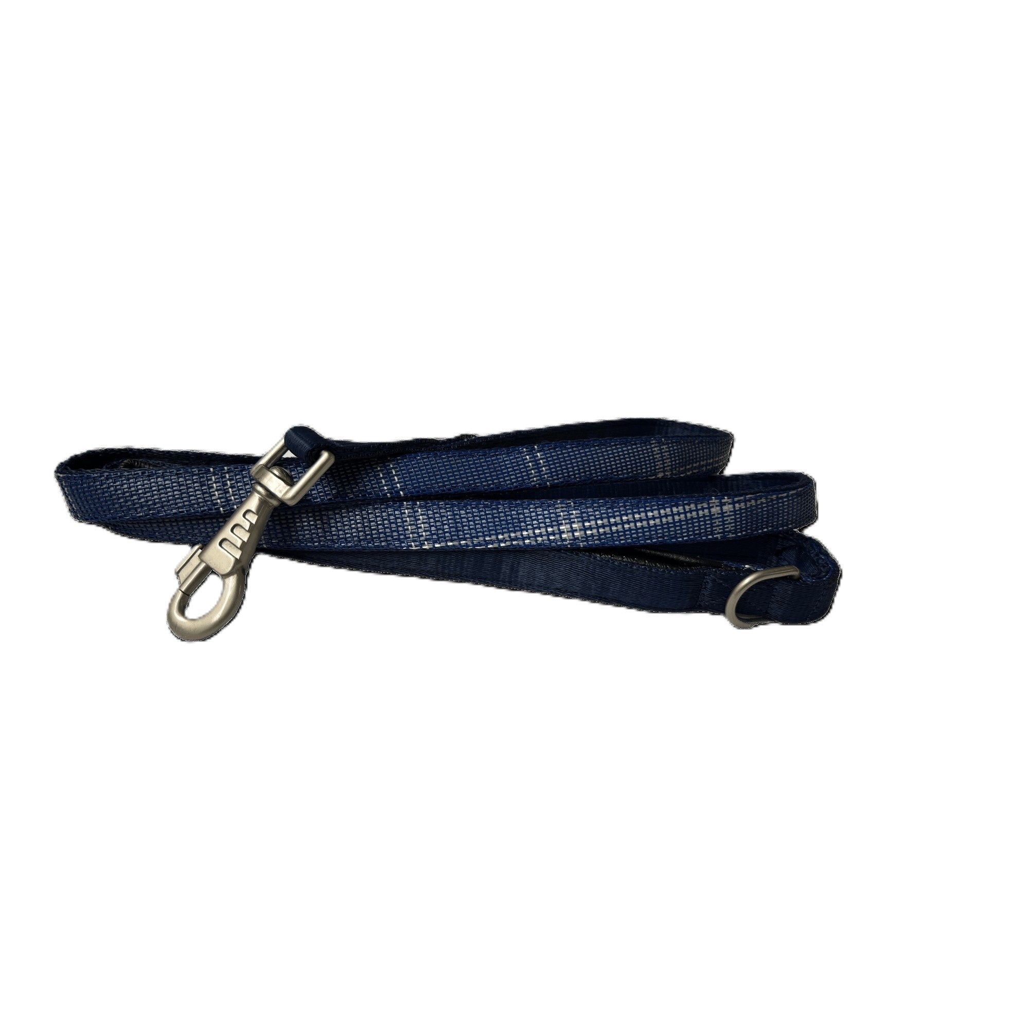 Kensington Nylon Dog Leash with Padding