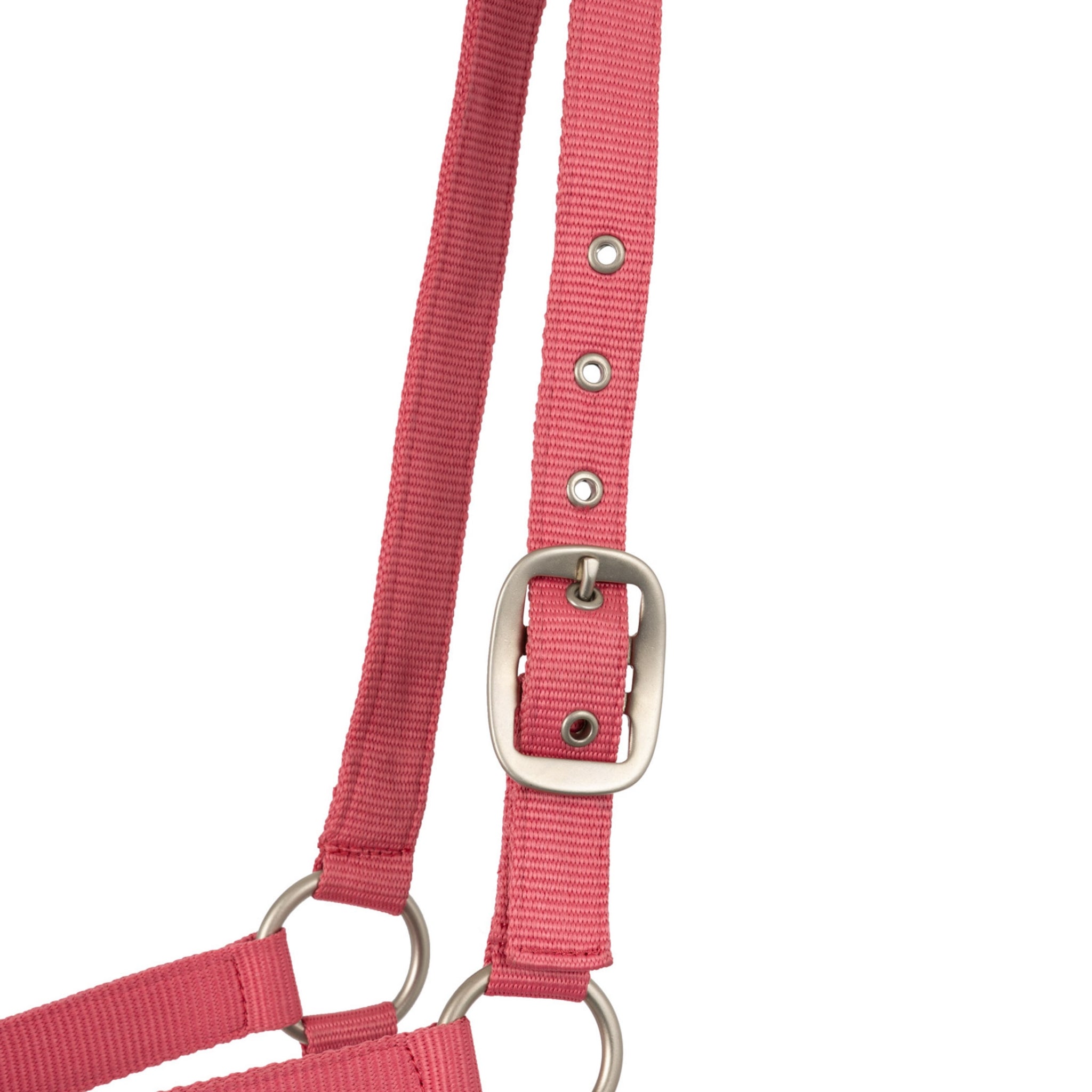 Horze Rose Tonique Halter