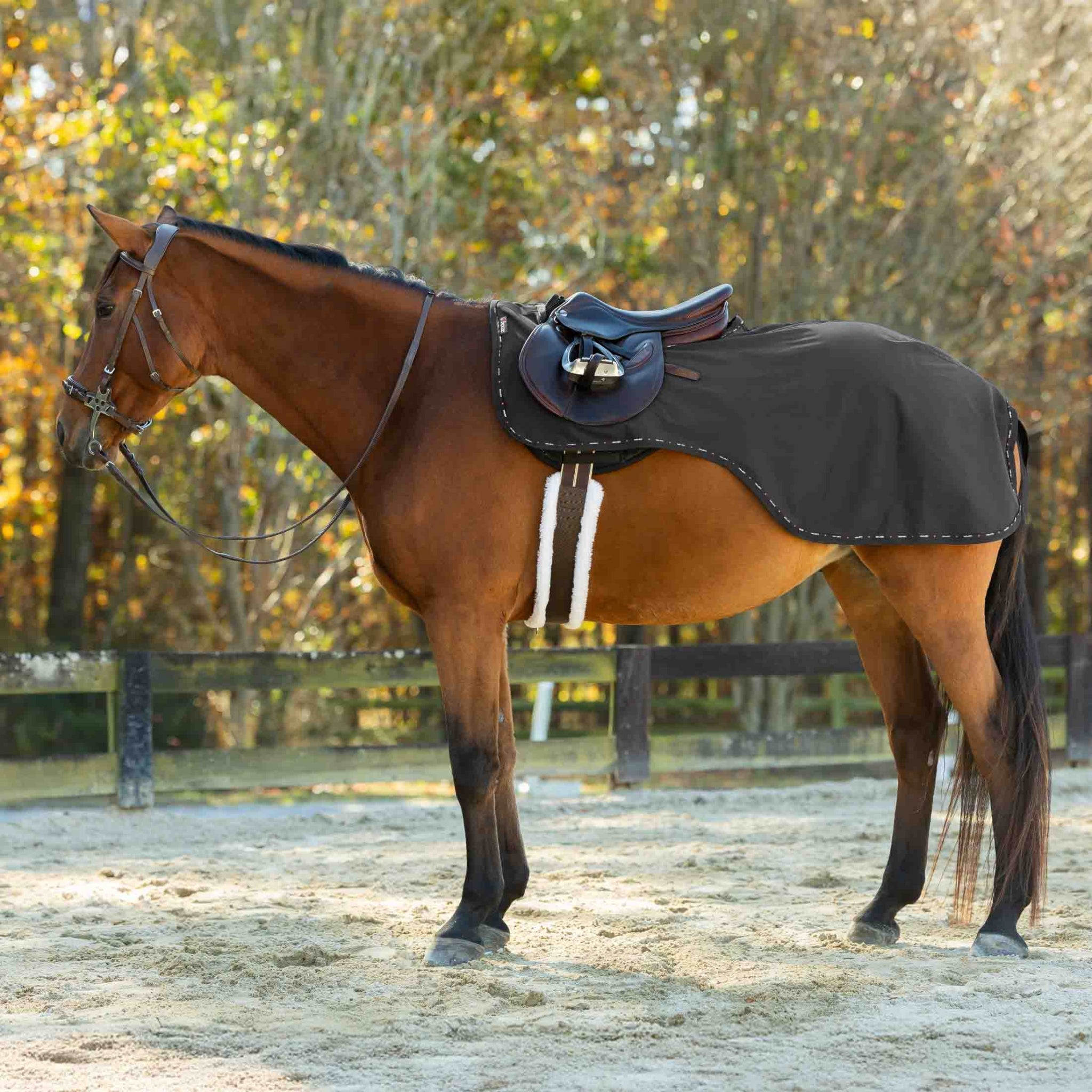 Horze Cairo Infrared Therapy Waterproof Quarter Sheet