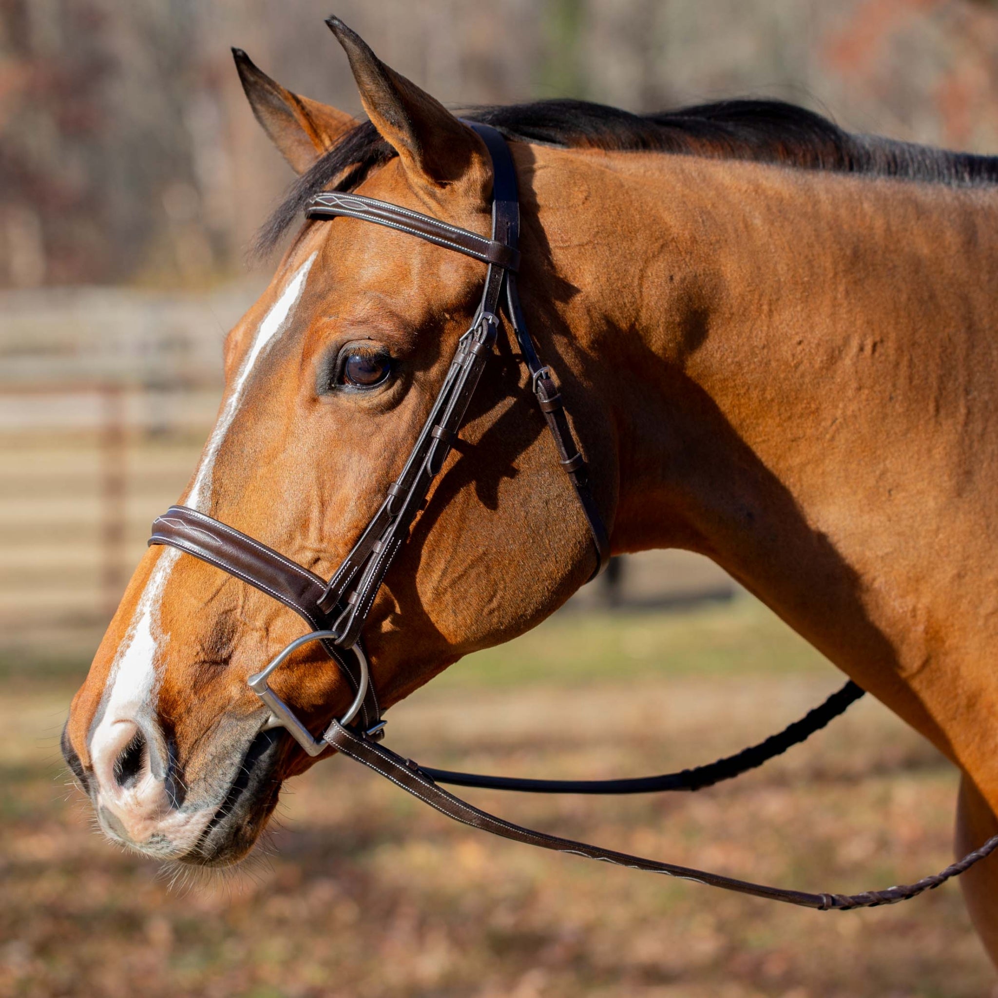 Equinavia Valkyrie Classic Wide Noseband Hunter Bridle with Reins