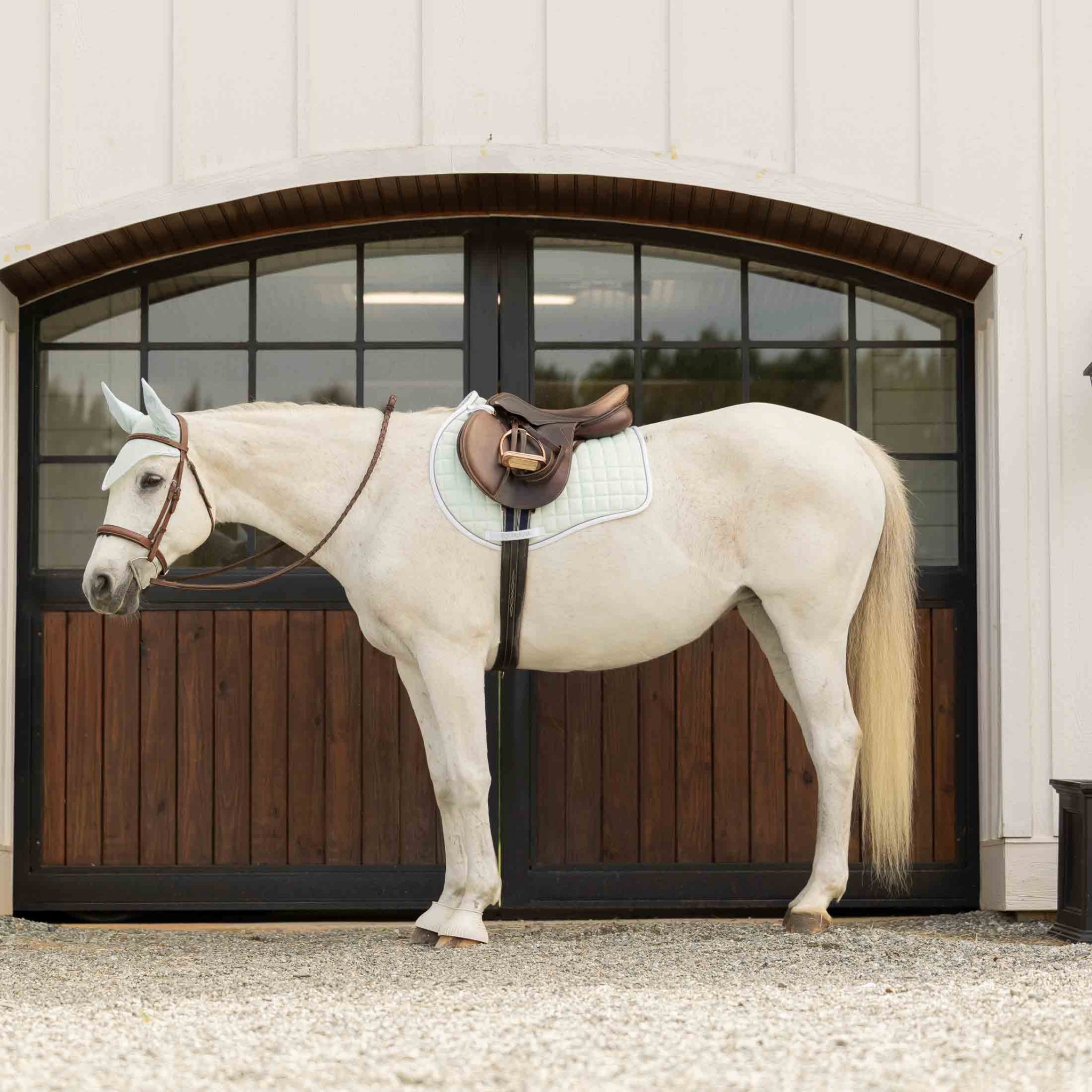 Equinavia Svalbard NordicAir All Purpose Saddle Pad
