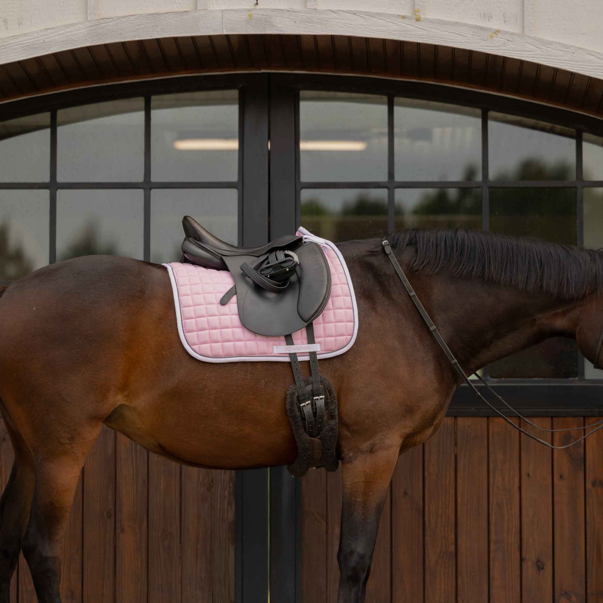 Equinavia Svalbard NordicAir Dressage Saddle Pad