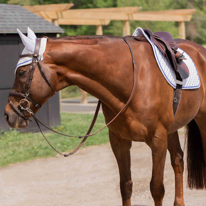 Equinavia Voss Dressage Saddle Pad and Bonnet Set