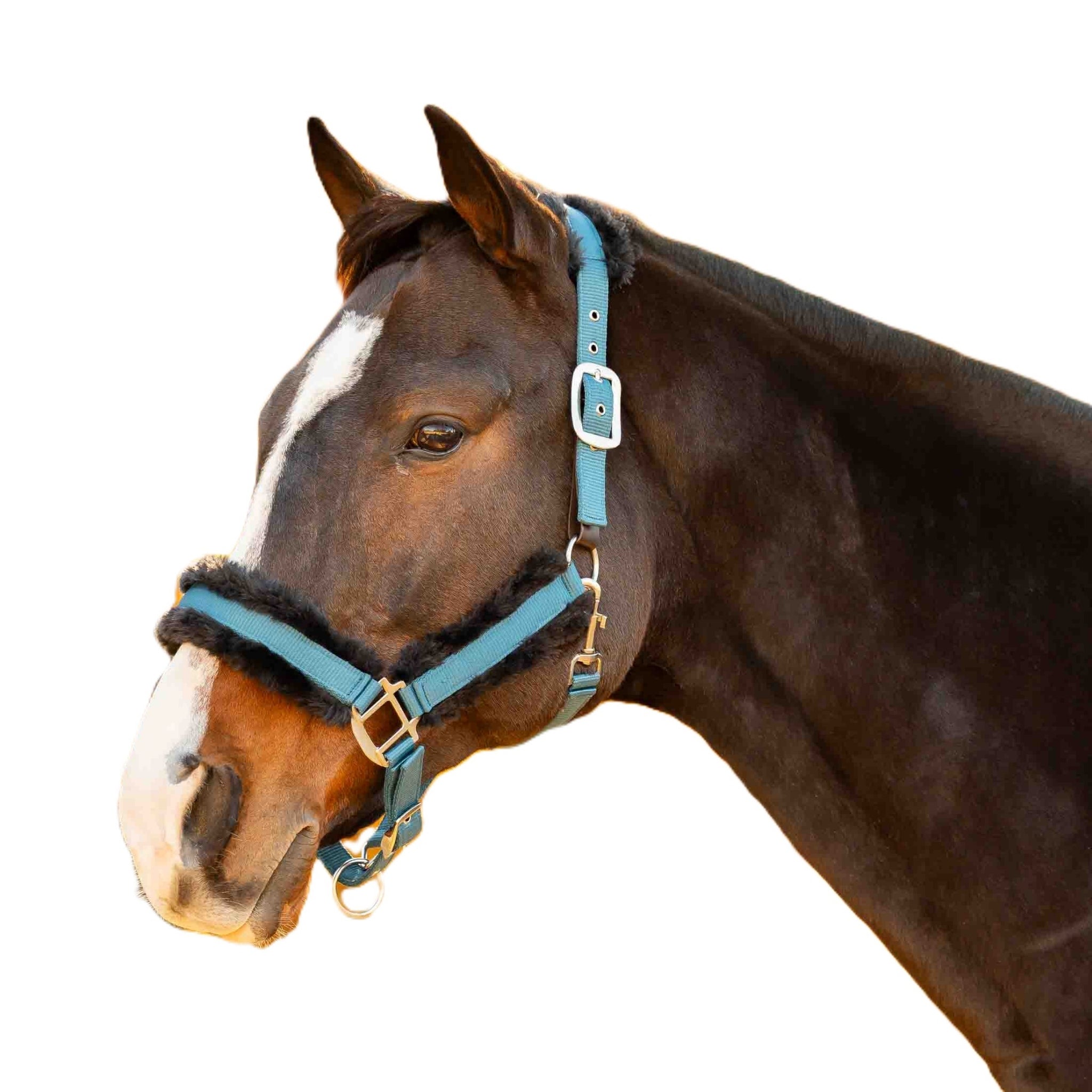 Equinavia Valkyrie Fleece Breakaway Halter