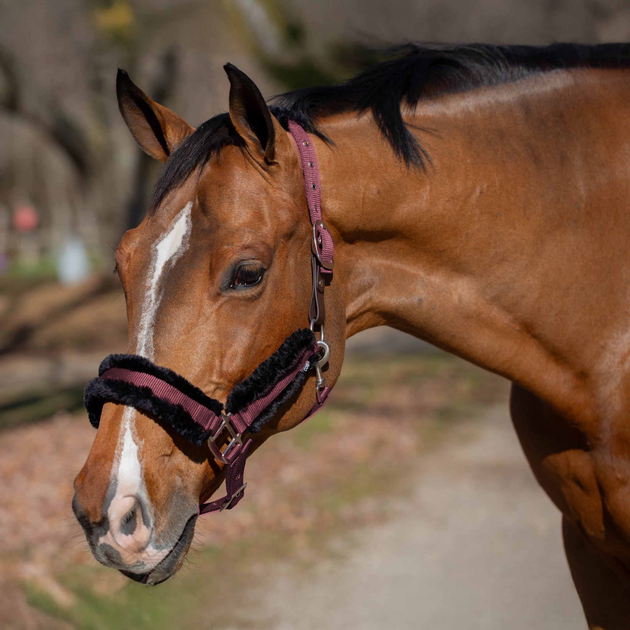 Equinavia Valkyrie Fleece Breakaway Halter