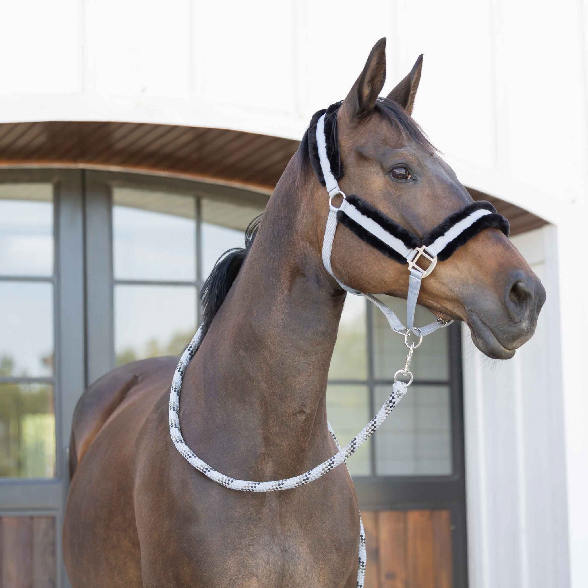Equinavia Valkyrie Fleece Breakaway Halter