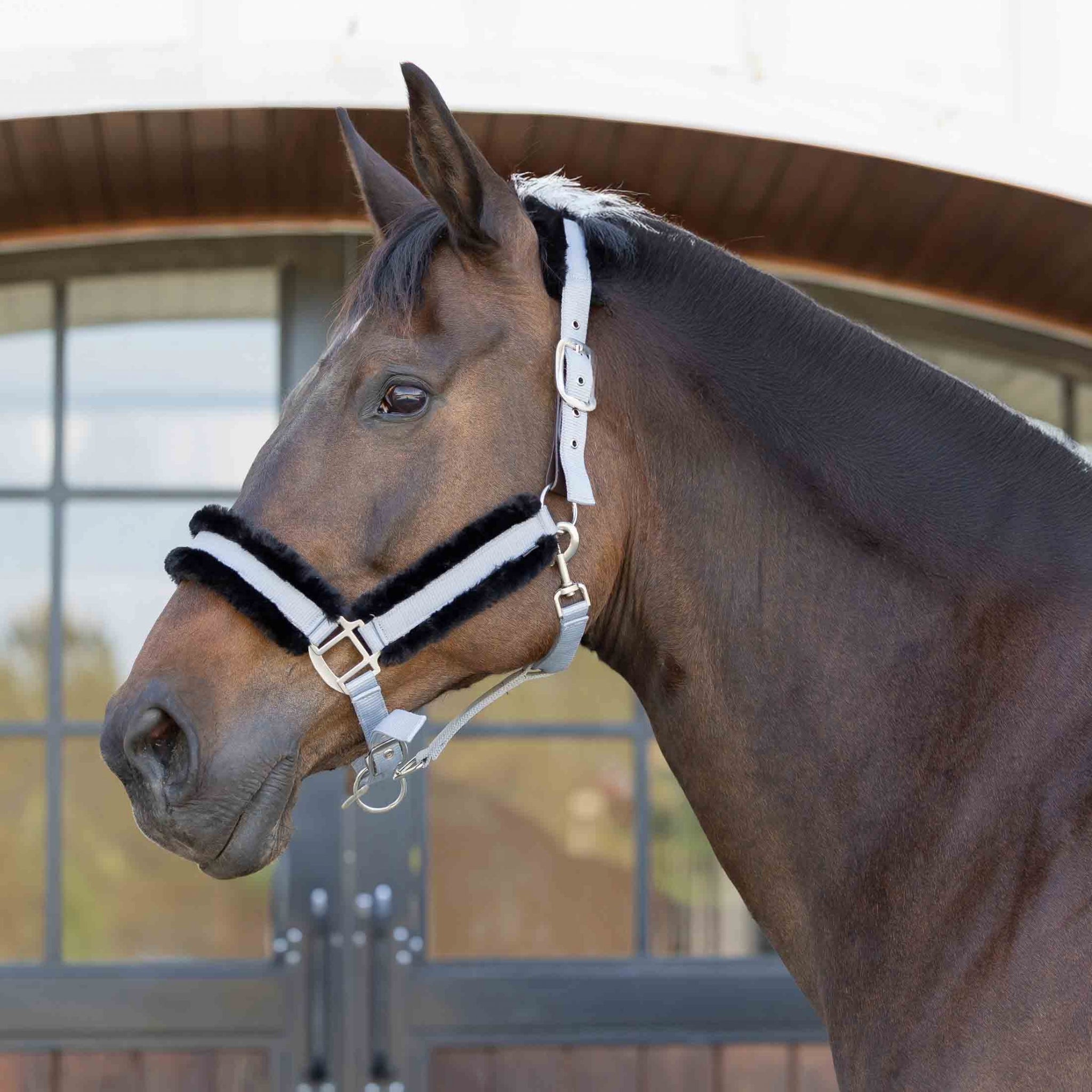 Equinavia Valkyrie Fleece Breakaway Halter