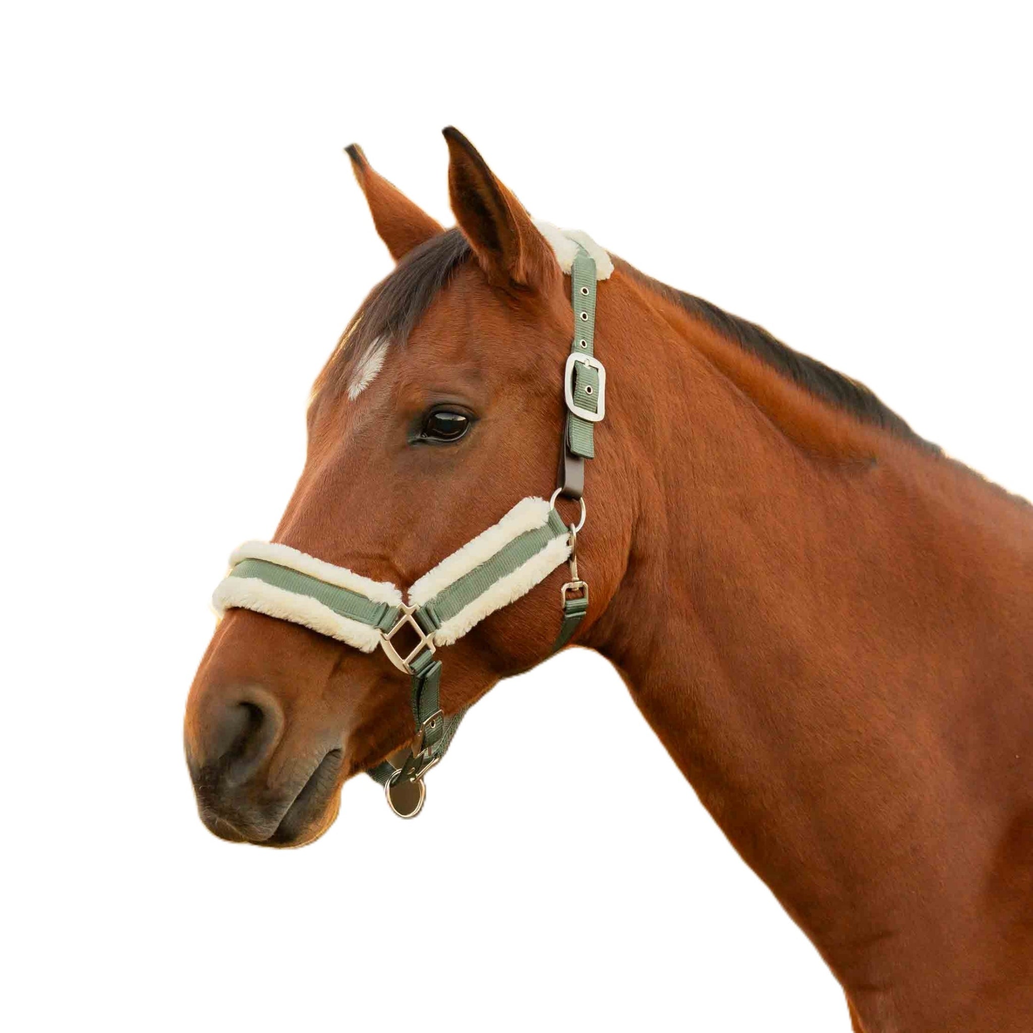 Equinavia Valkyrie Fleece Breakaway Halter