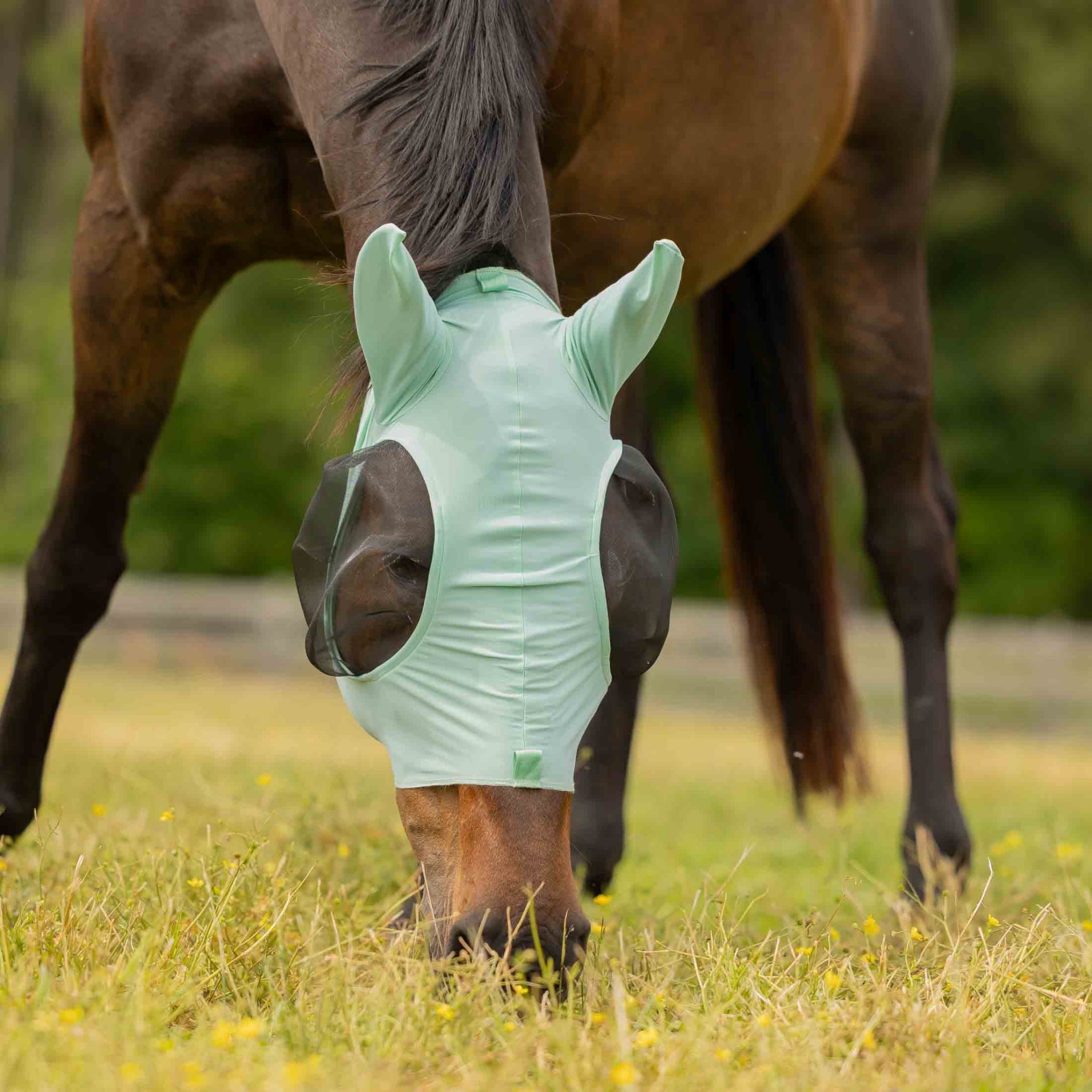 Equinavia Bug Out Fly Mask