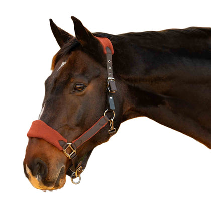 Equinavia Saga Fleece Padded Breakaway Halter