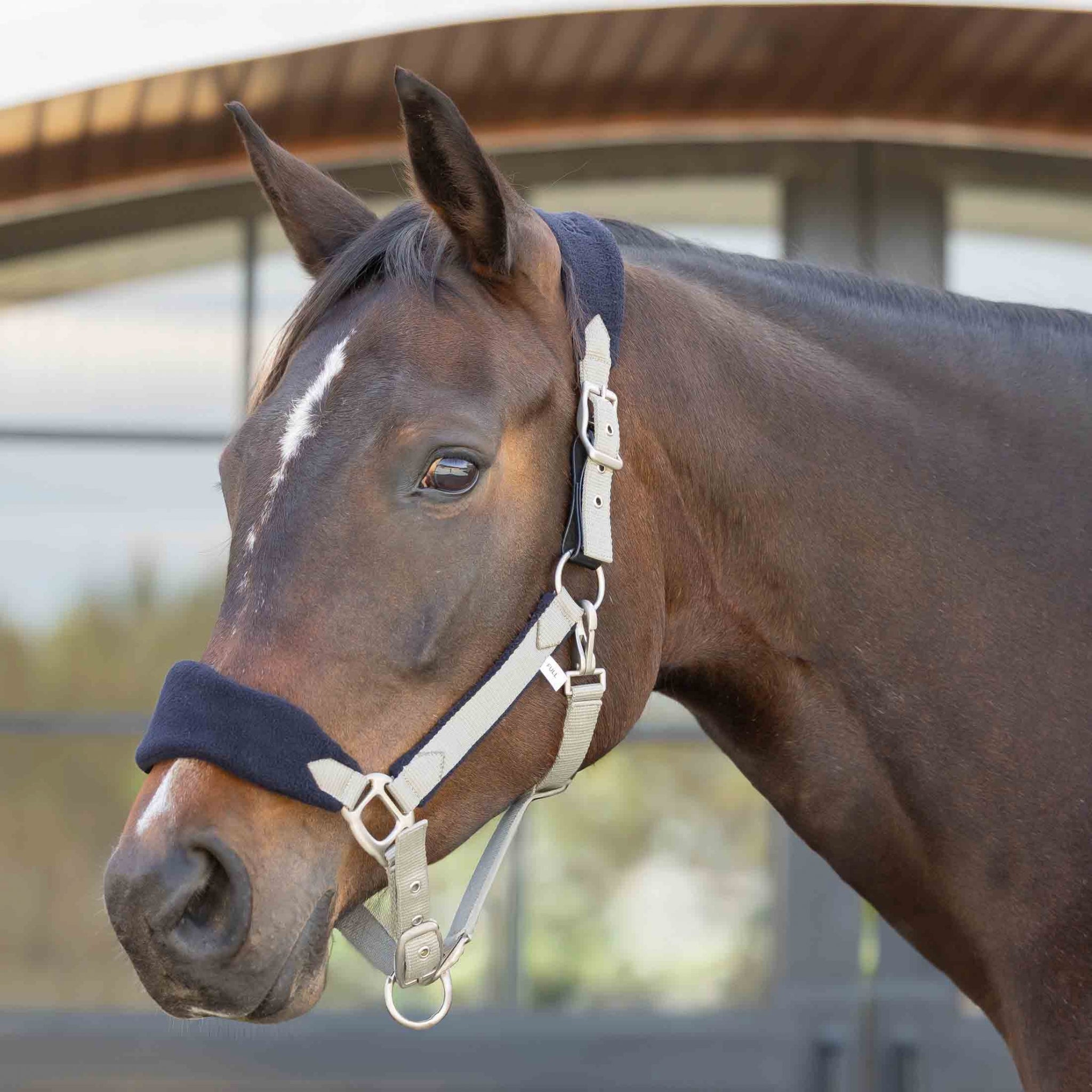Equinavia Saga Fleece Padded Breakaway Halter