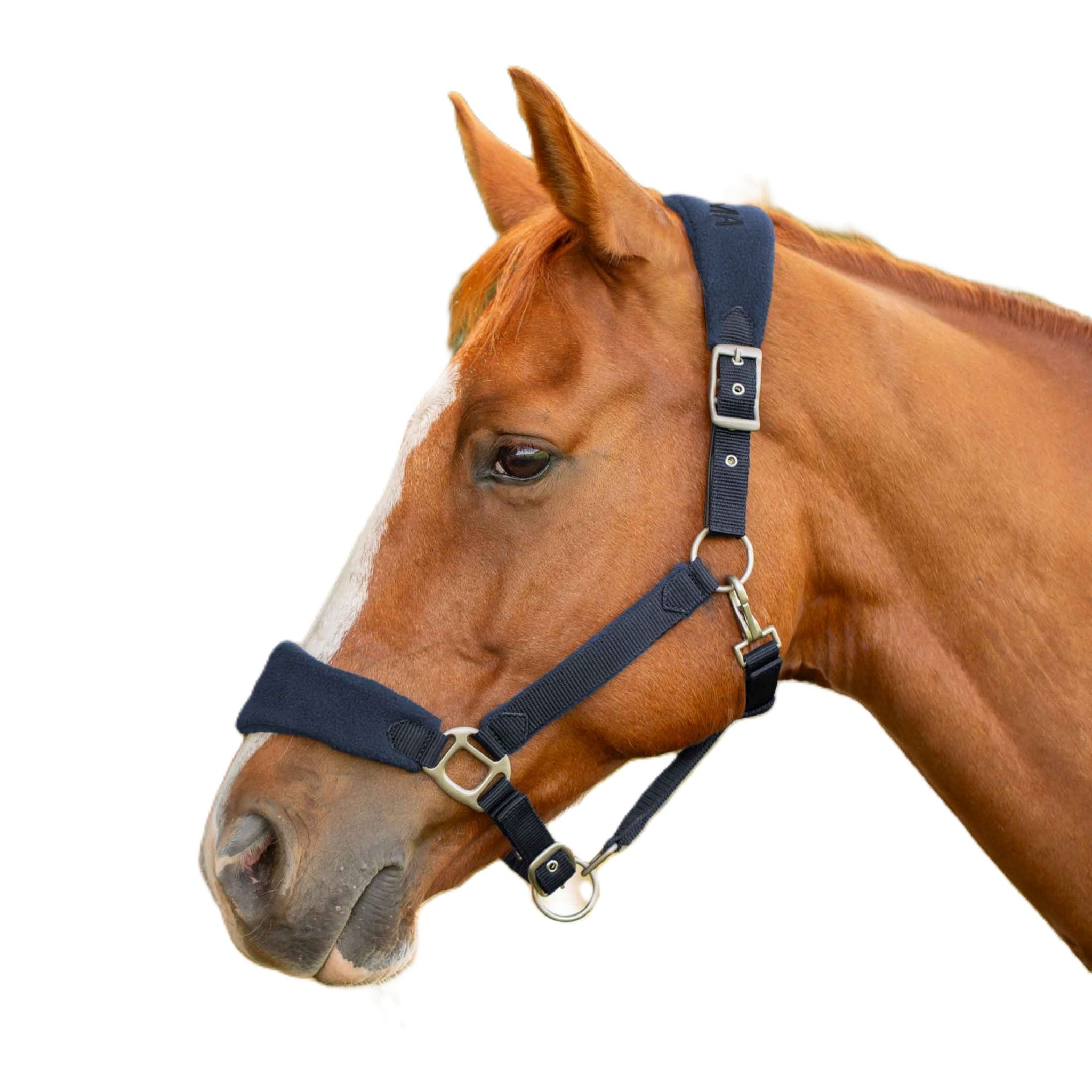 Equinavia Saga Fleece Padded Breakaway Halter
