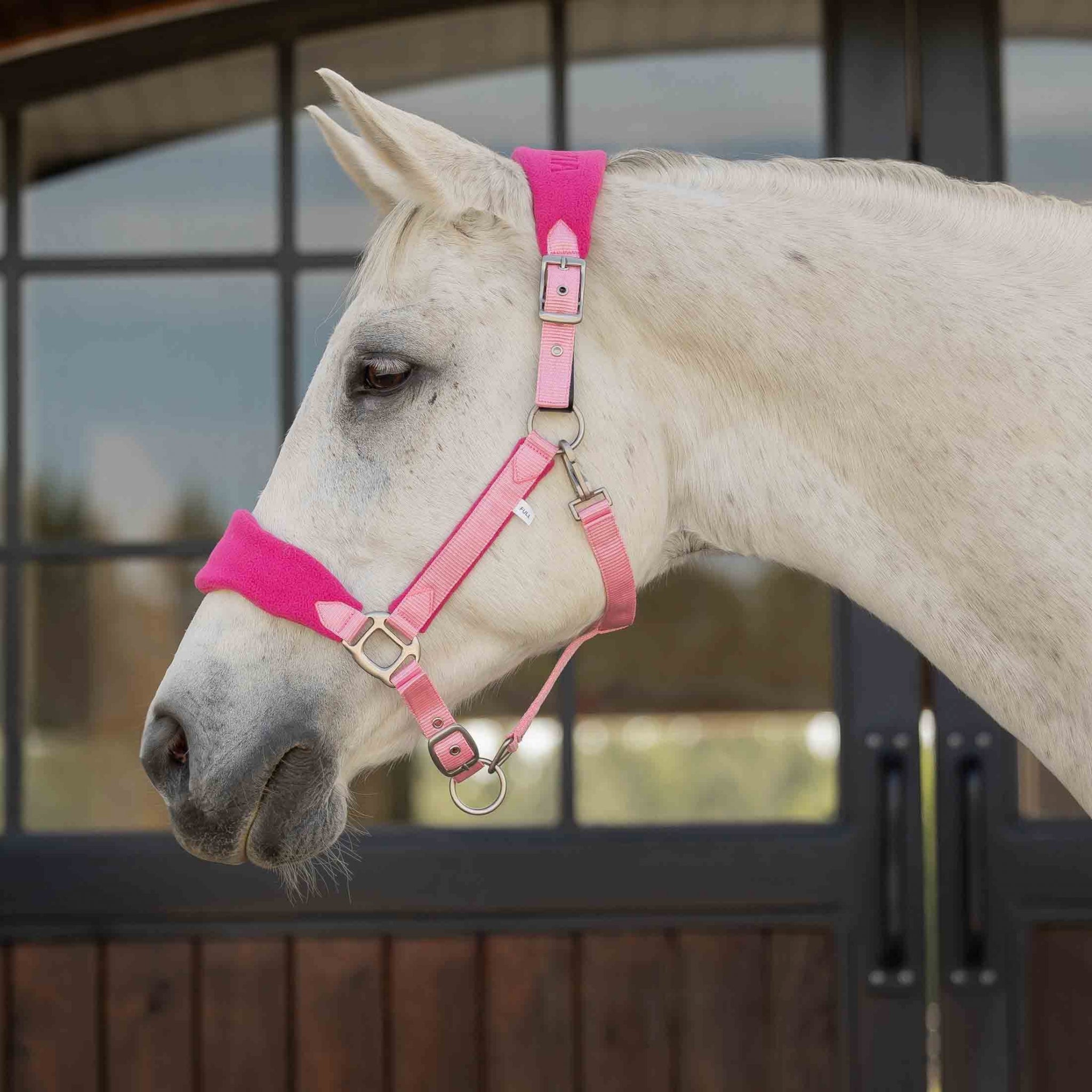 Equinavia Saga Fleece Padded Breakaway Halter