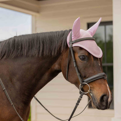 Equinavia Svalbard NordicAir Ear Net