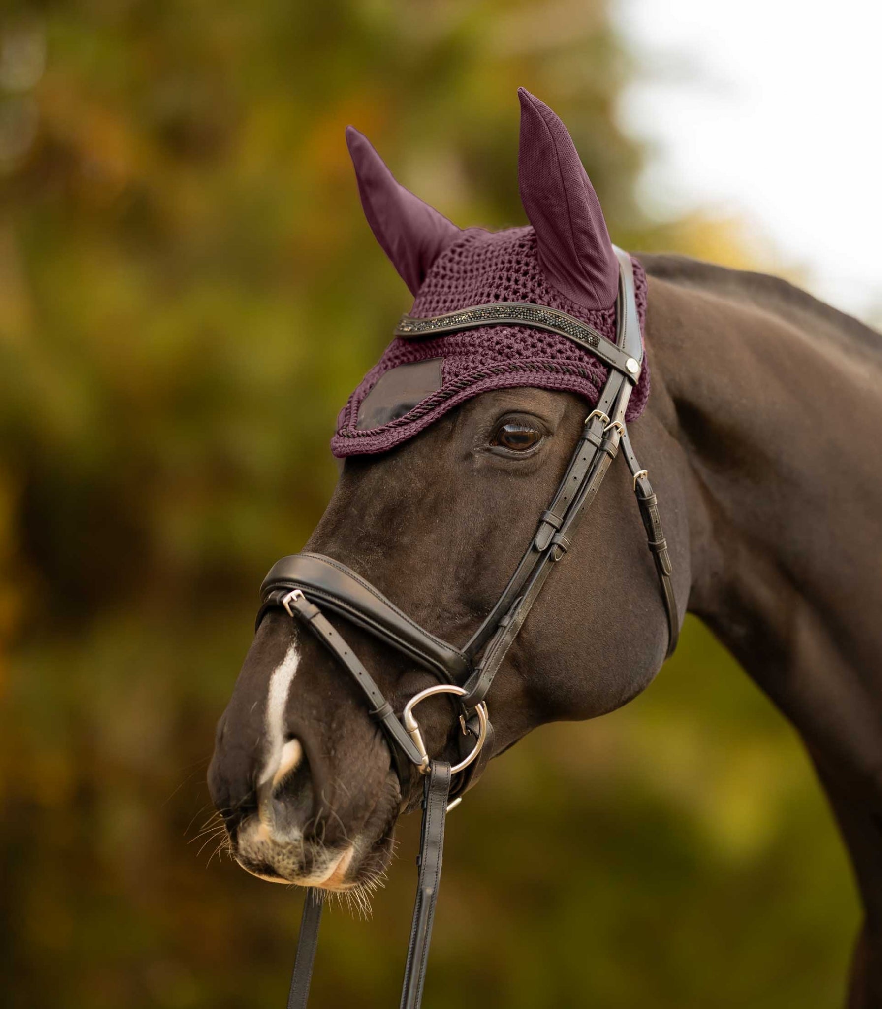 Equinavia Copenhagen Ear Net