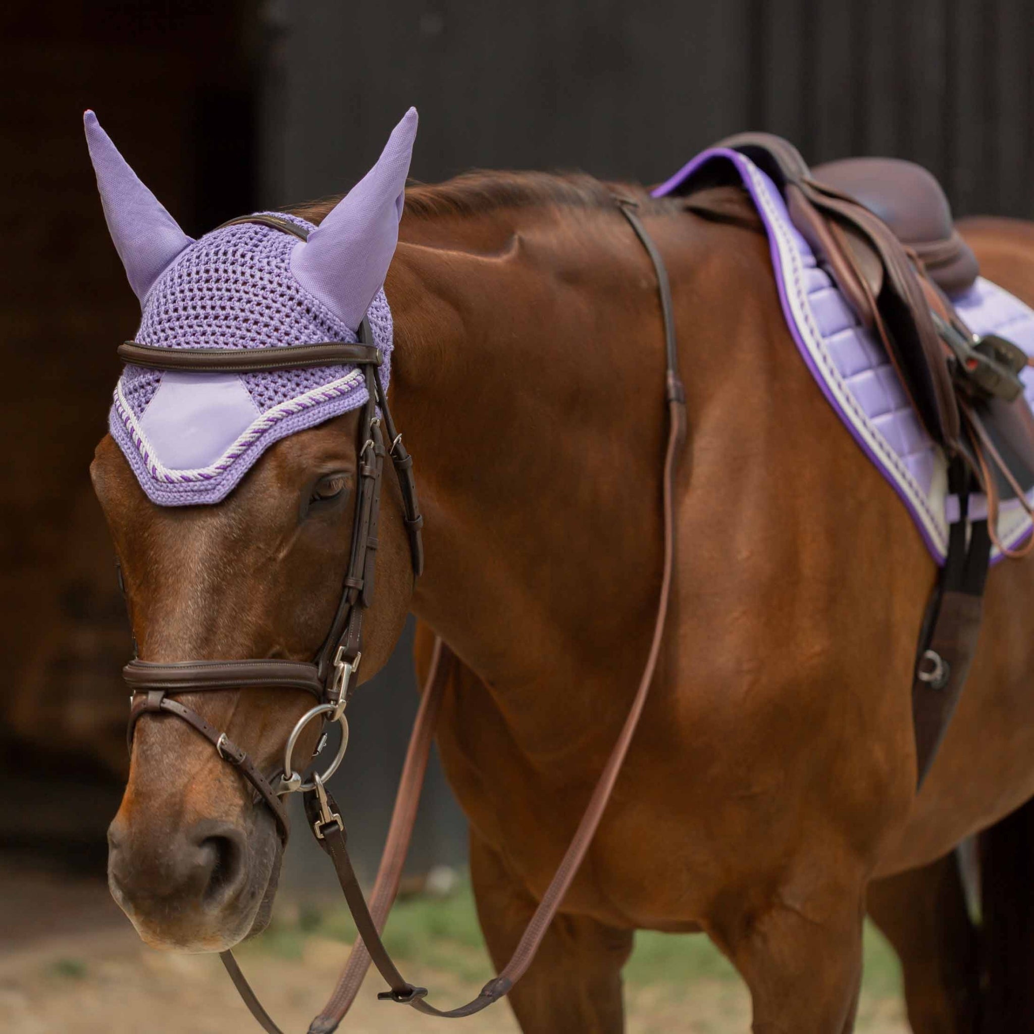 Equinavia Copenhagen Ear Net