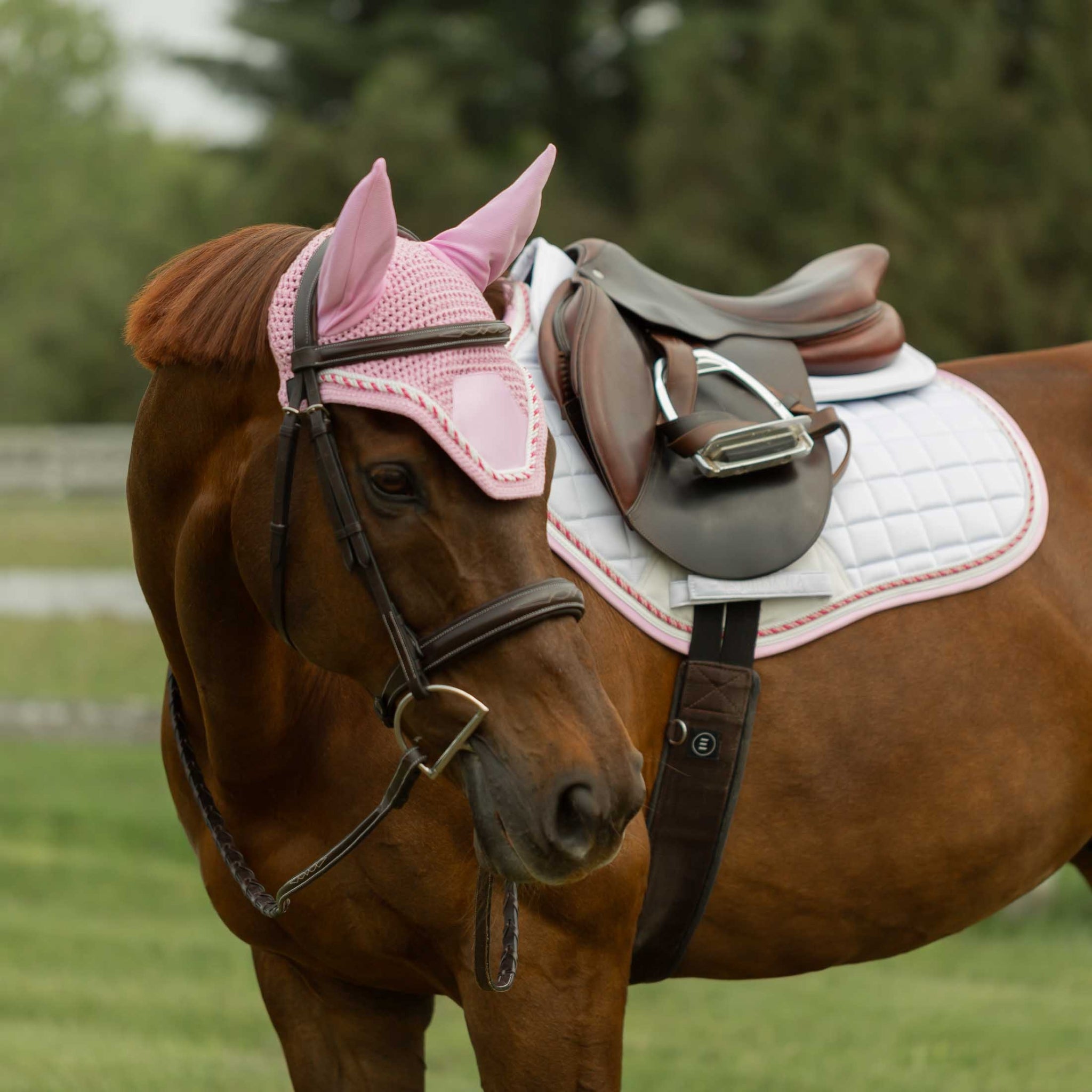 Equinavia Copenhagen Ear Net