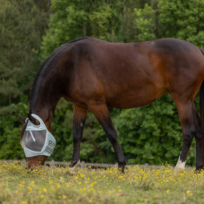 Equinavia Algard Soft Mesh Earless Fly Mask