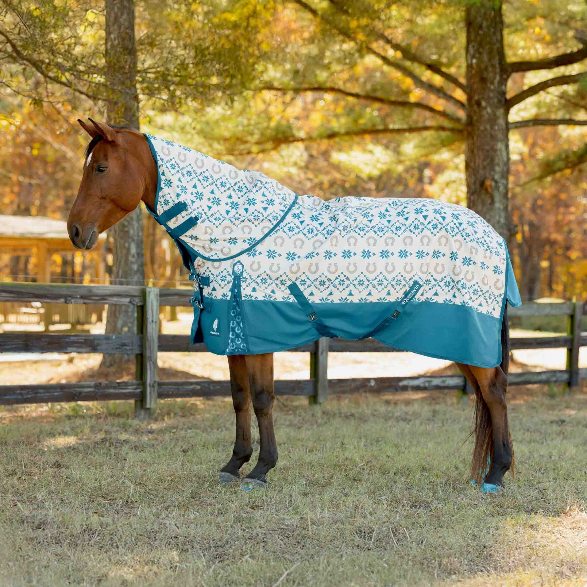 Equinavia Norse Turnout Sheet