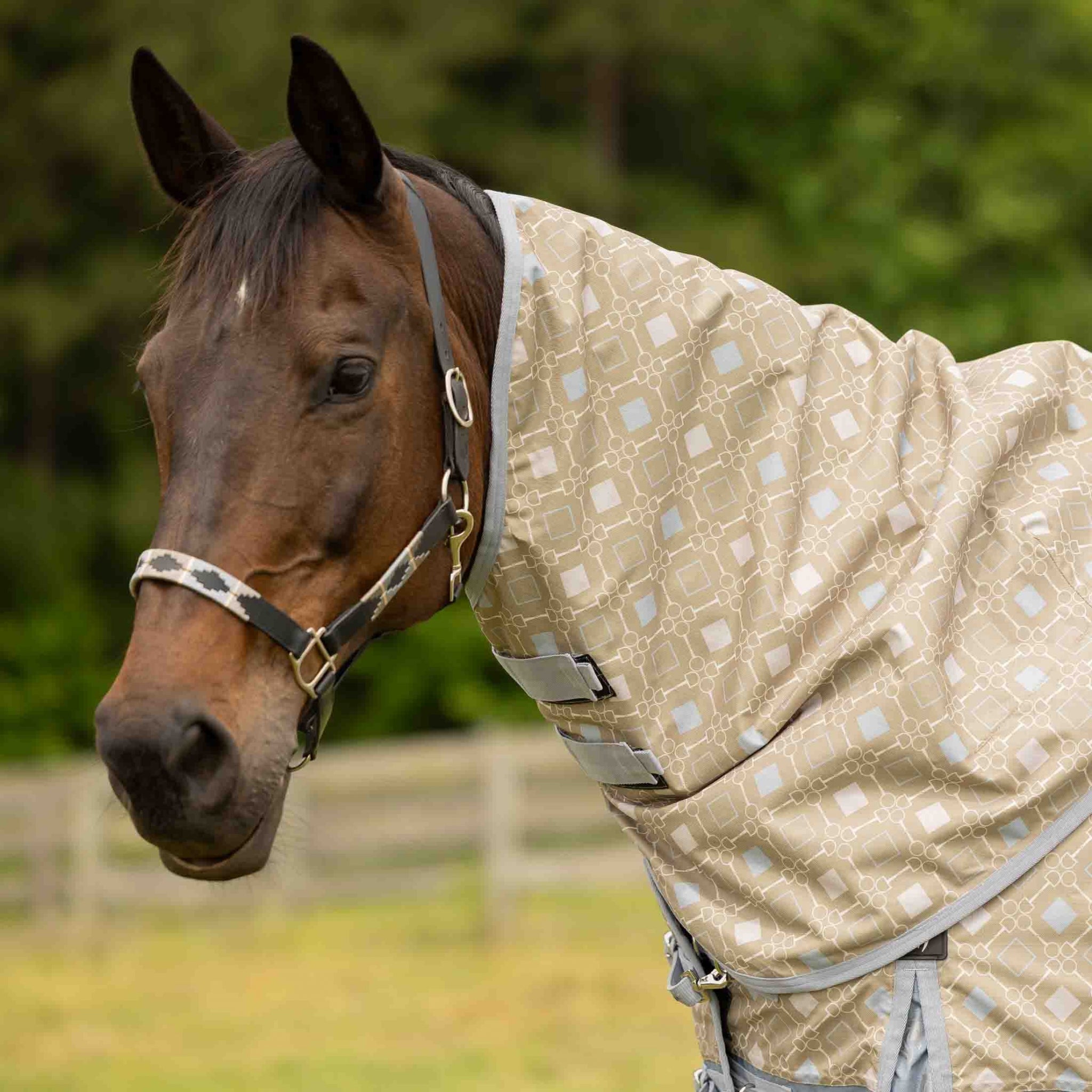 Equinavia Norse Neck Cover - No Fill
