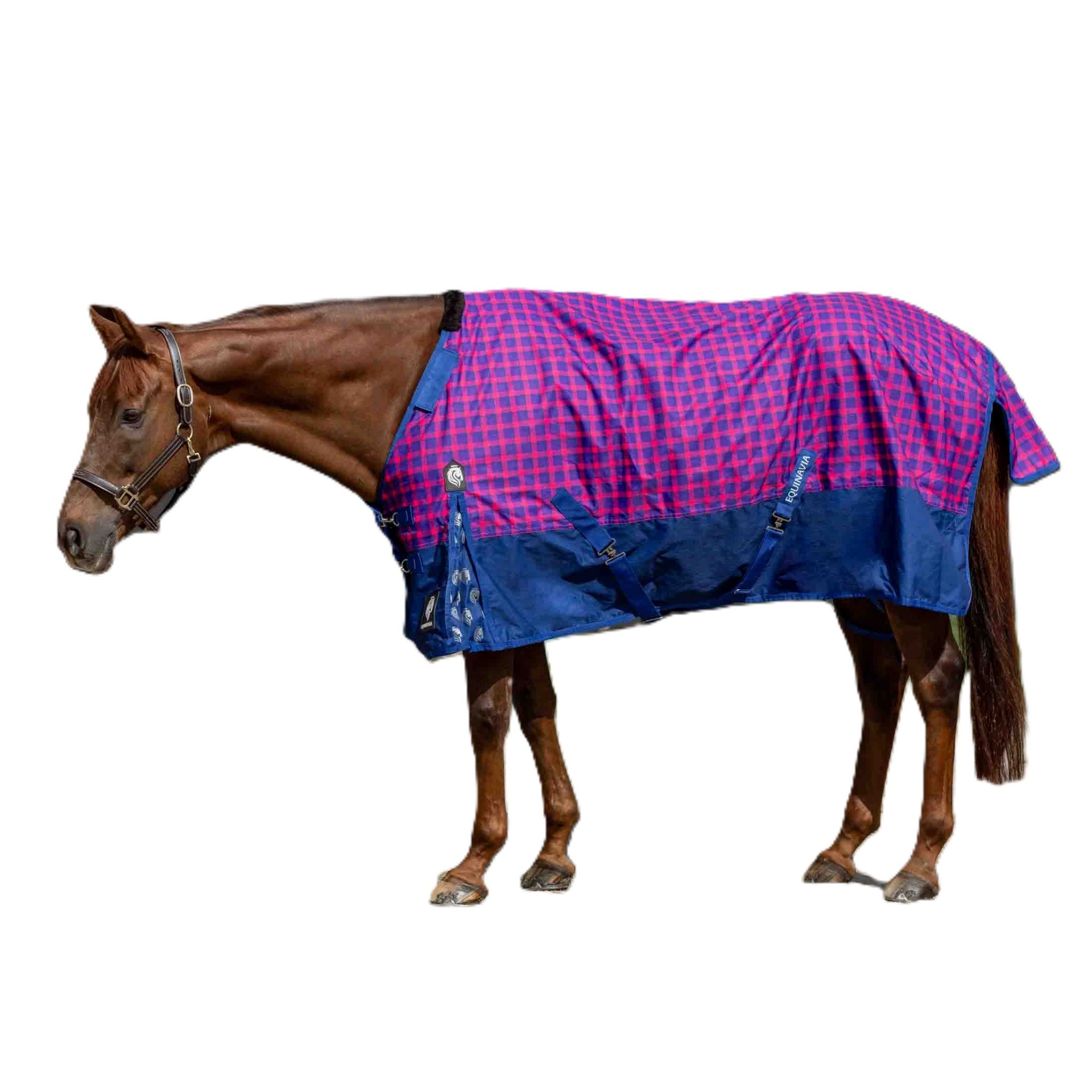 Equinavia Norse Lite Turnout Blanket 100g