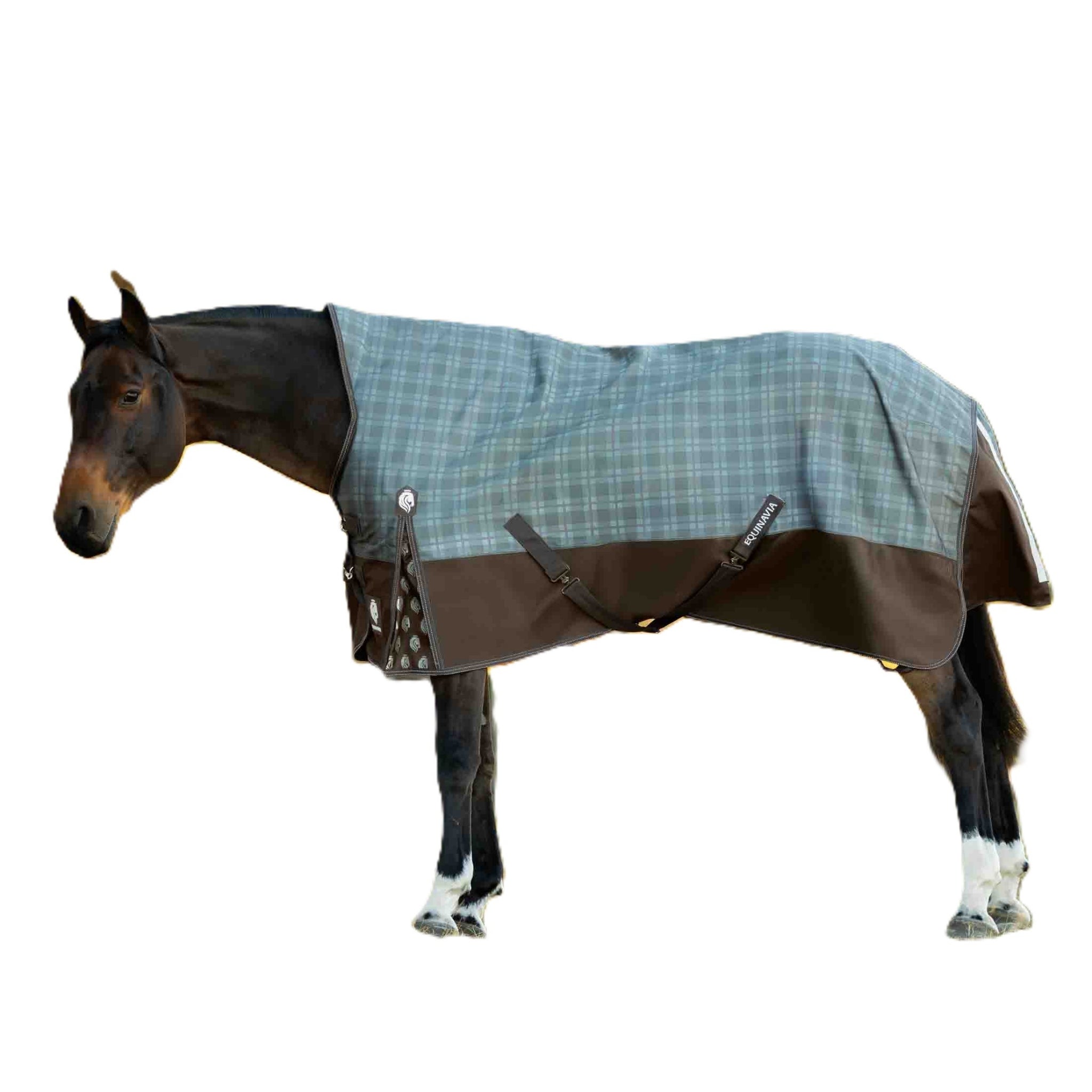 Equinavia Arktis Extended Neck Heavy Weight Turnout Blanket 300g