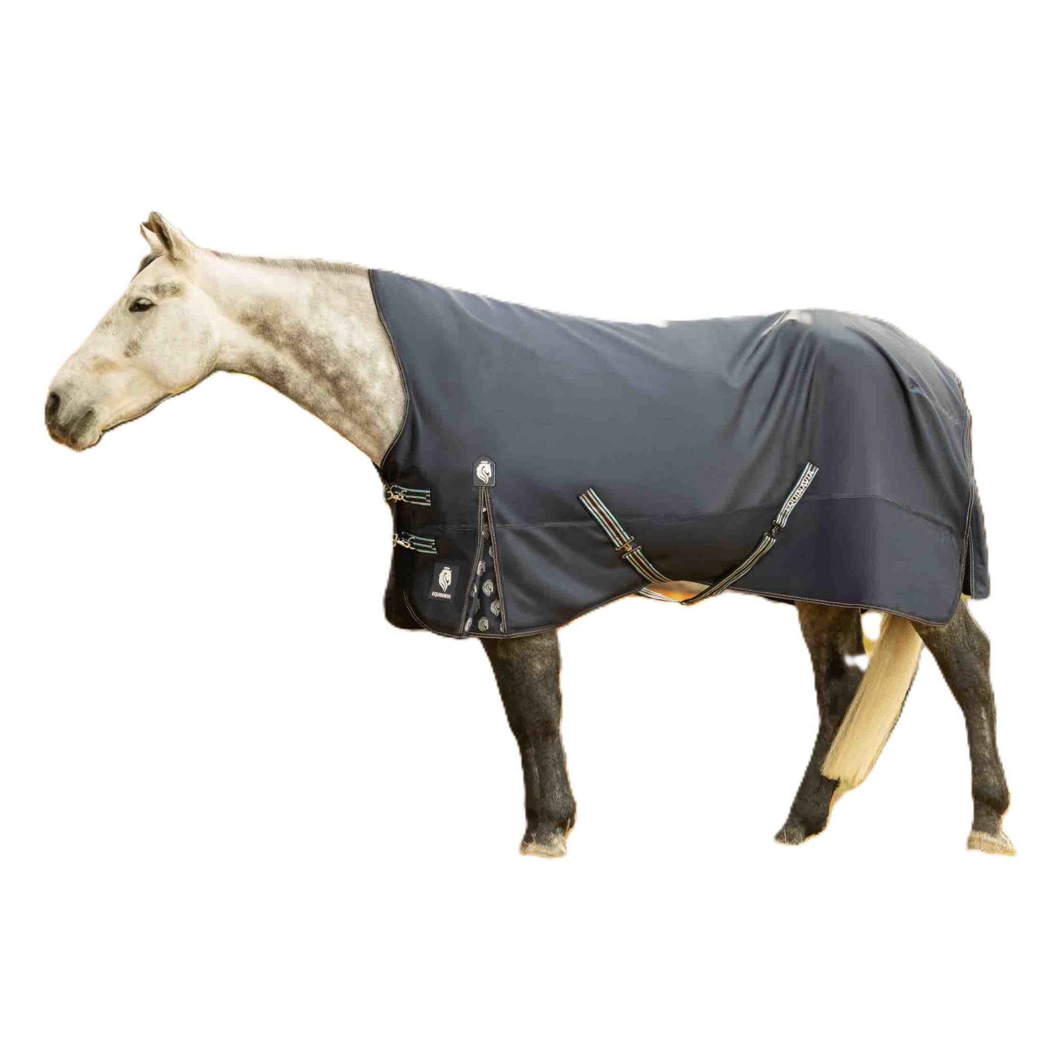Equinavia Arktis Extended Neck Heavy Weight Turnout Blanket 300g