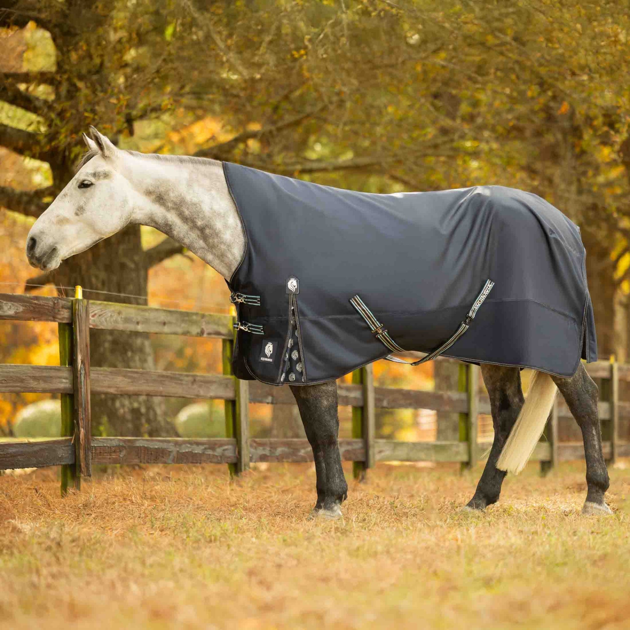 Equinavia Arktis Extended Neck Light Weight Turnout Blanket 100g