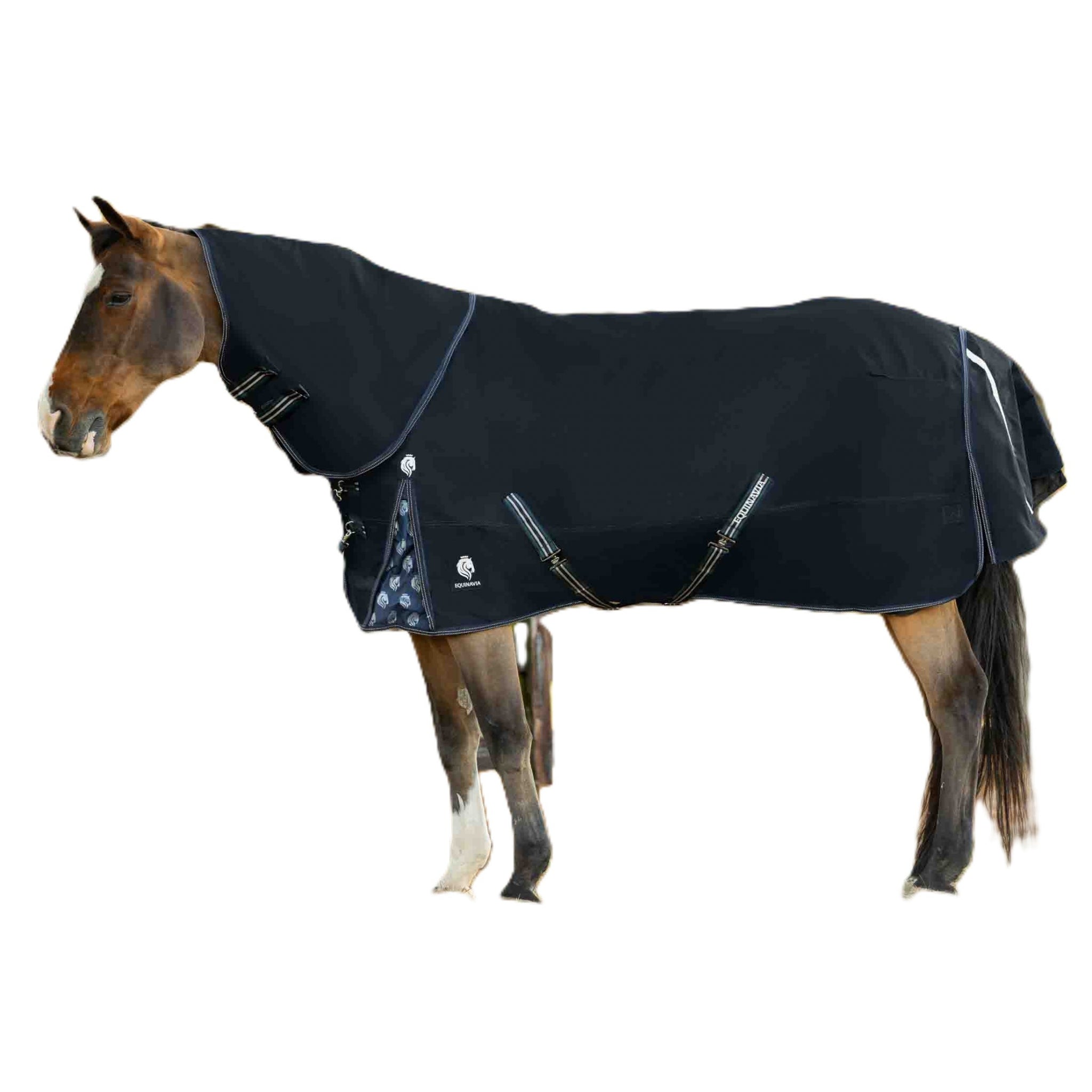 Equinavia Thunder360 Detachable Neck Mid Weight Turnout Blanket 200g