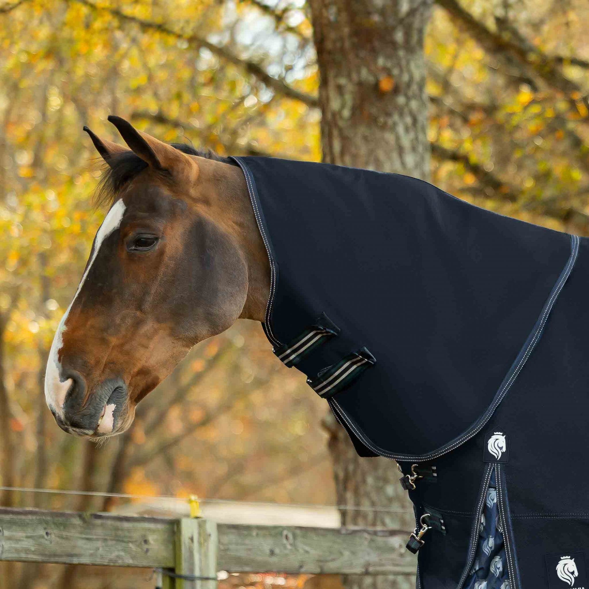Equinavia Thunder360 Detachable Neck Mid Weight Turnout Blanket 200g