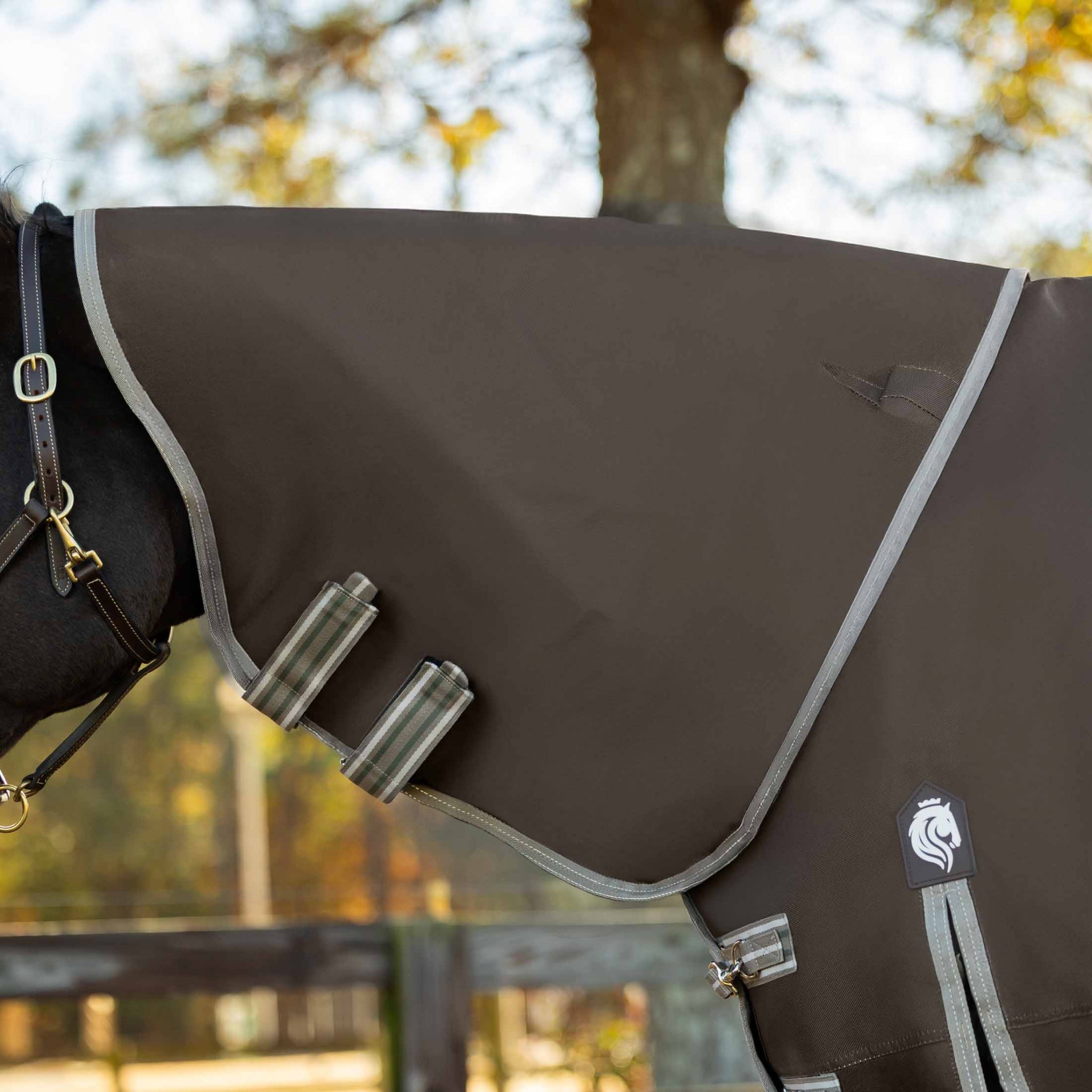 Equinavia Thunder 360 Detachable Neck Heavy Weight Turnout Blanket 300g