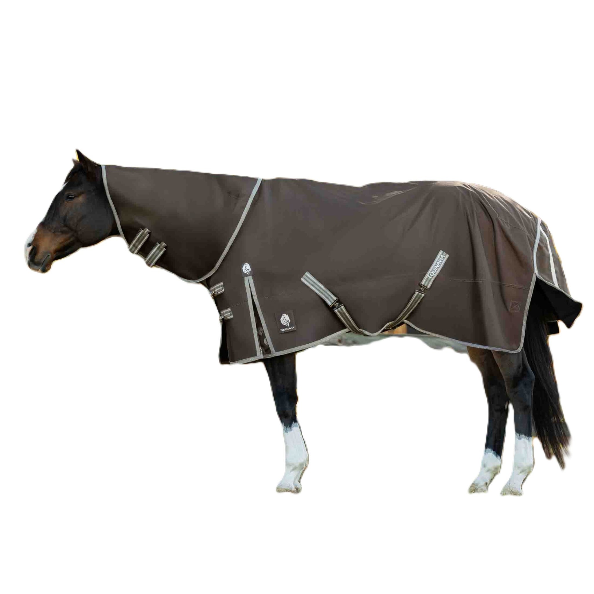 Equinavia Thunder 360 Detachable Neck Light Weight Turnout Blanket 100g