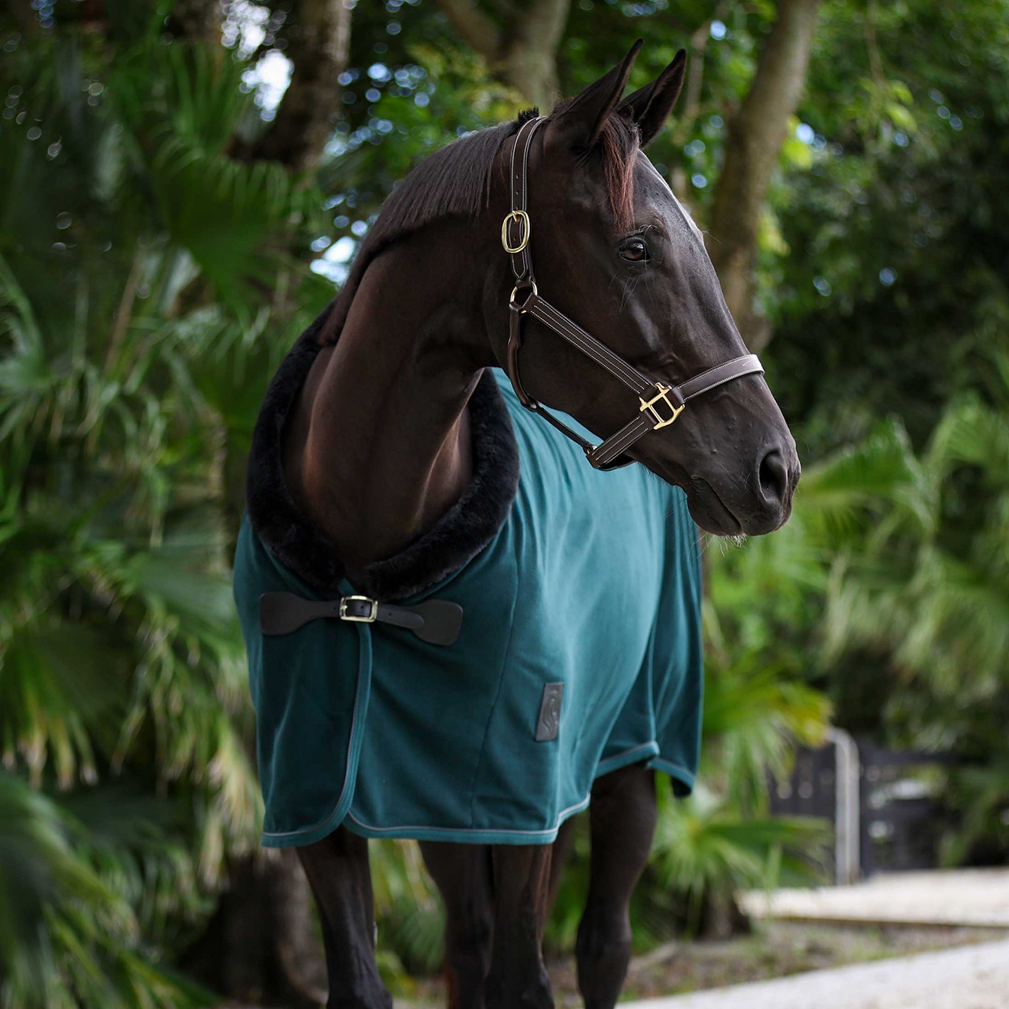 Equinavia Koselig Fleece Cooler