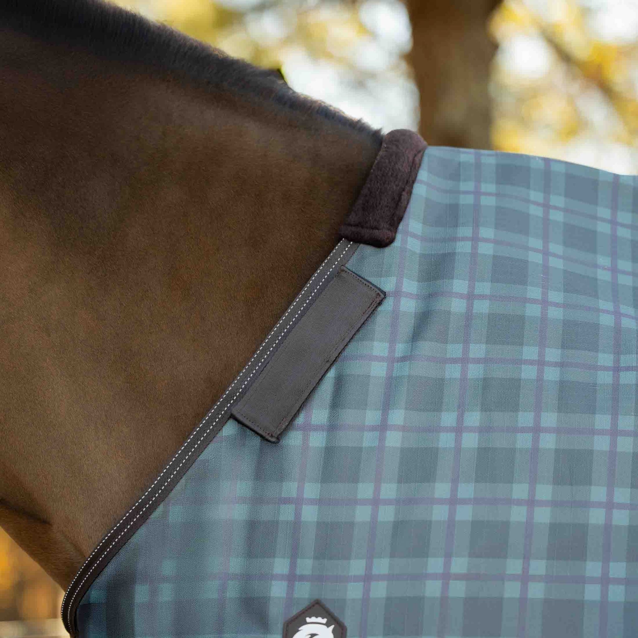Equinavia Arktis Regular Neck Mid Weight Turnout Blanket 200g