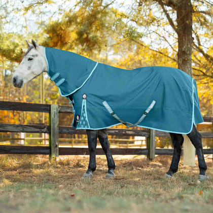 Equinavia Arktis Neck Cover No Fill