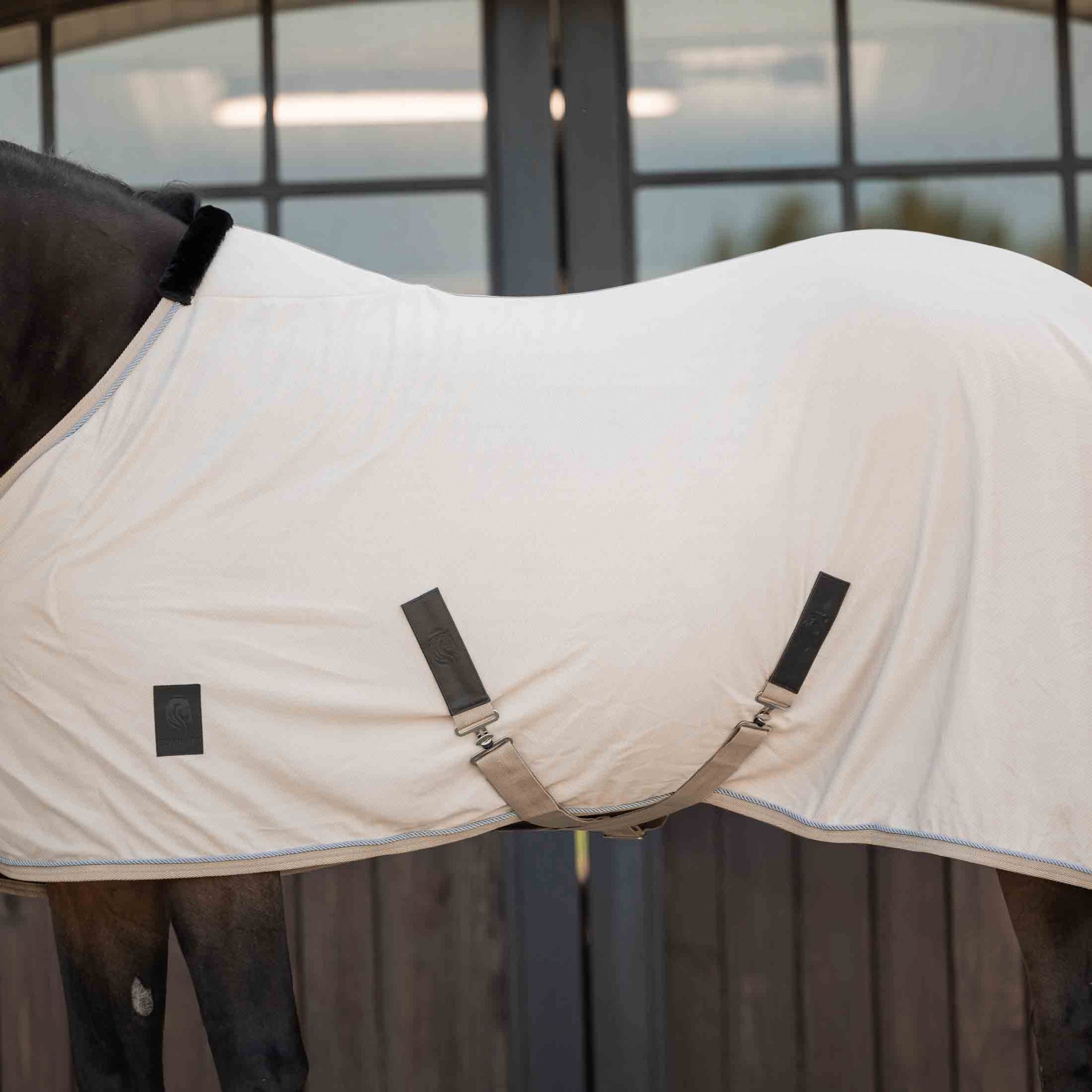 Equinavia Torr Quick Dry Cooler