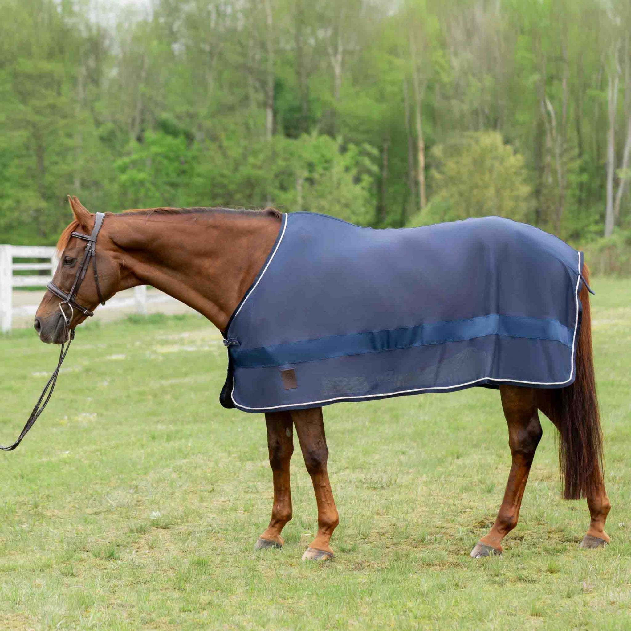 Equinavia Sol Ringside Scrim Sheet
