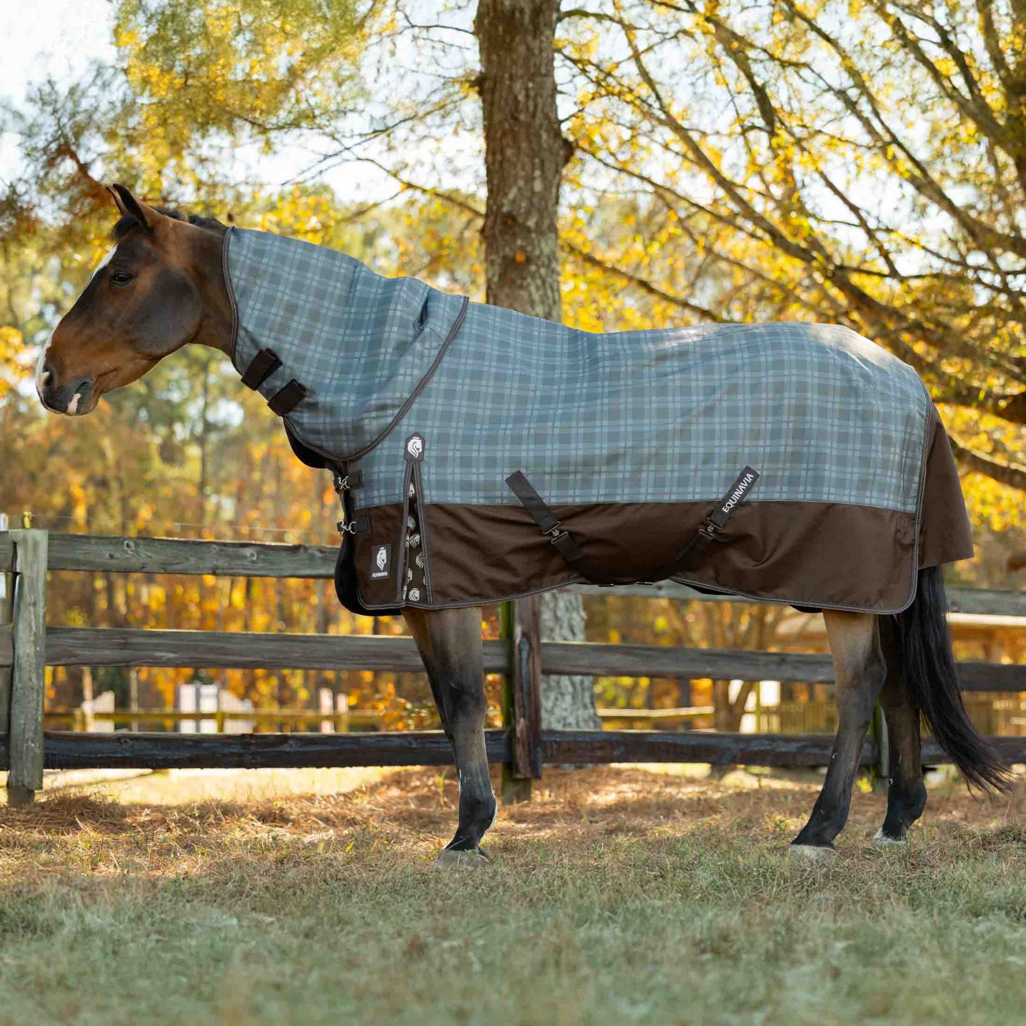 Equinavia Arktis TO Blanket 100g
