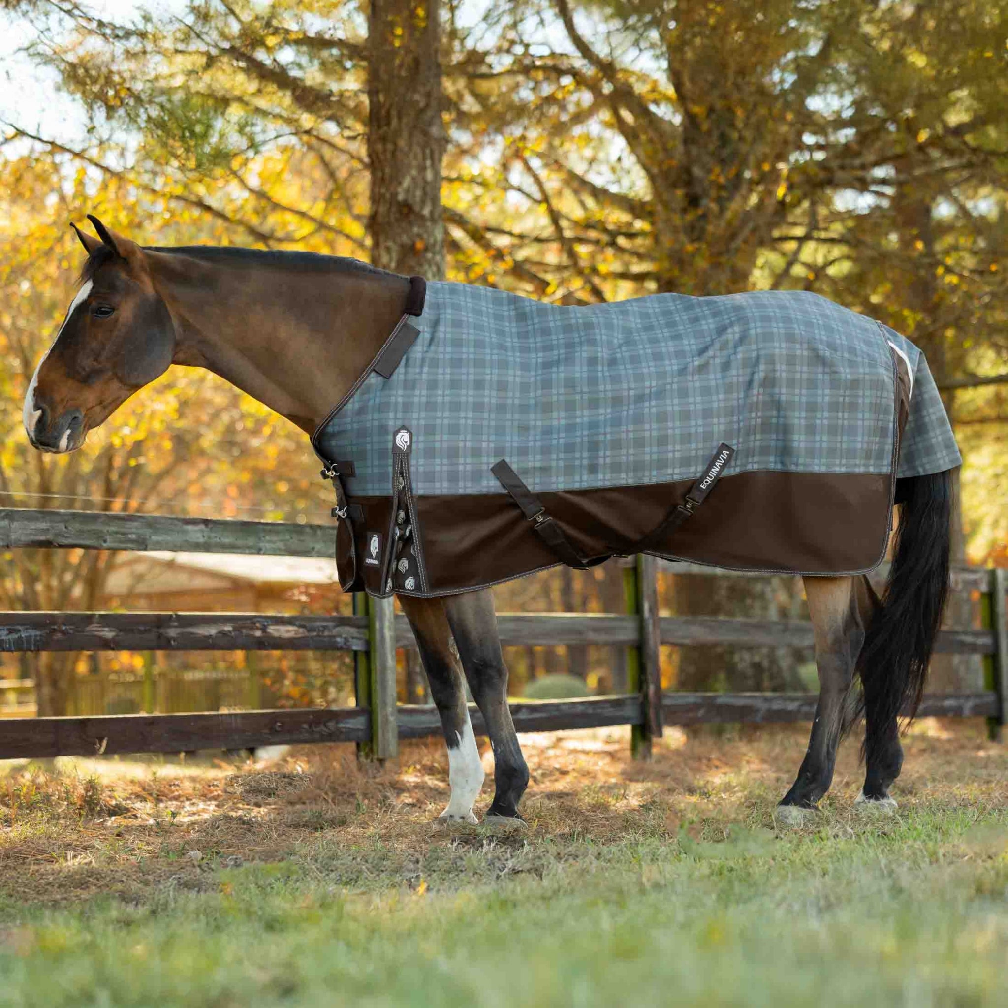 Equinavia Arktis TO Blanket 100g