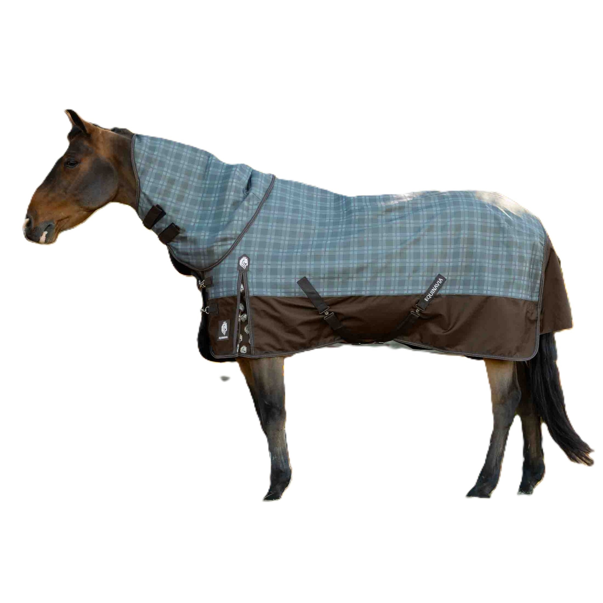 Equinavia Arktis TO Blanket 100g