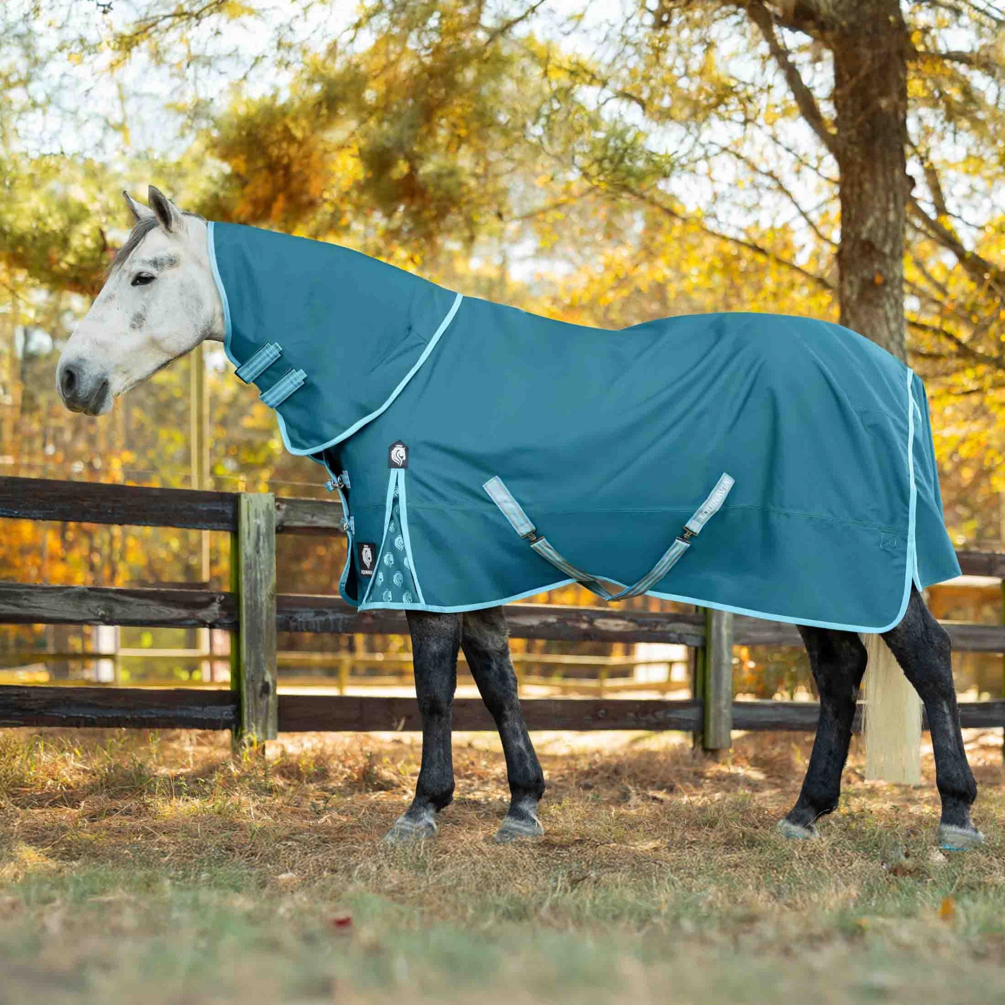 Equinavia Arktis Turnout Blanket 300g