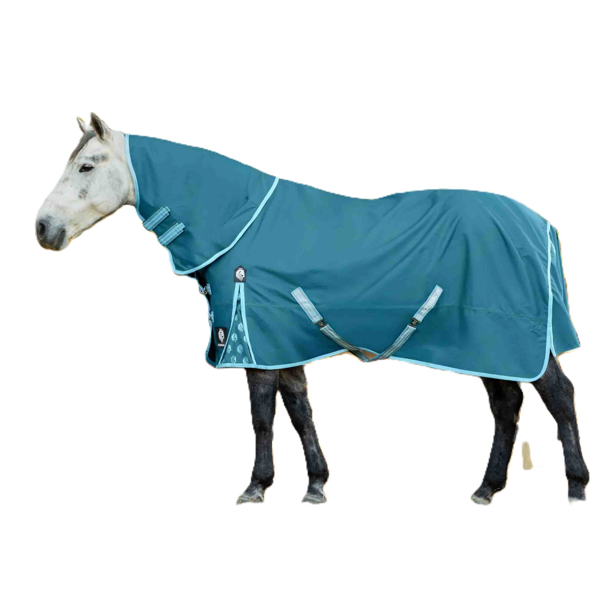 Equinavia Arktis TO Blanket 100g