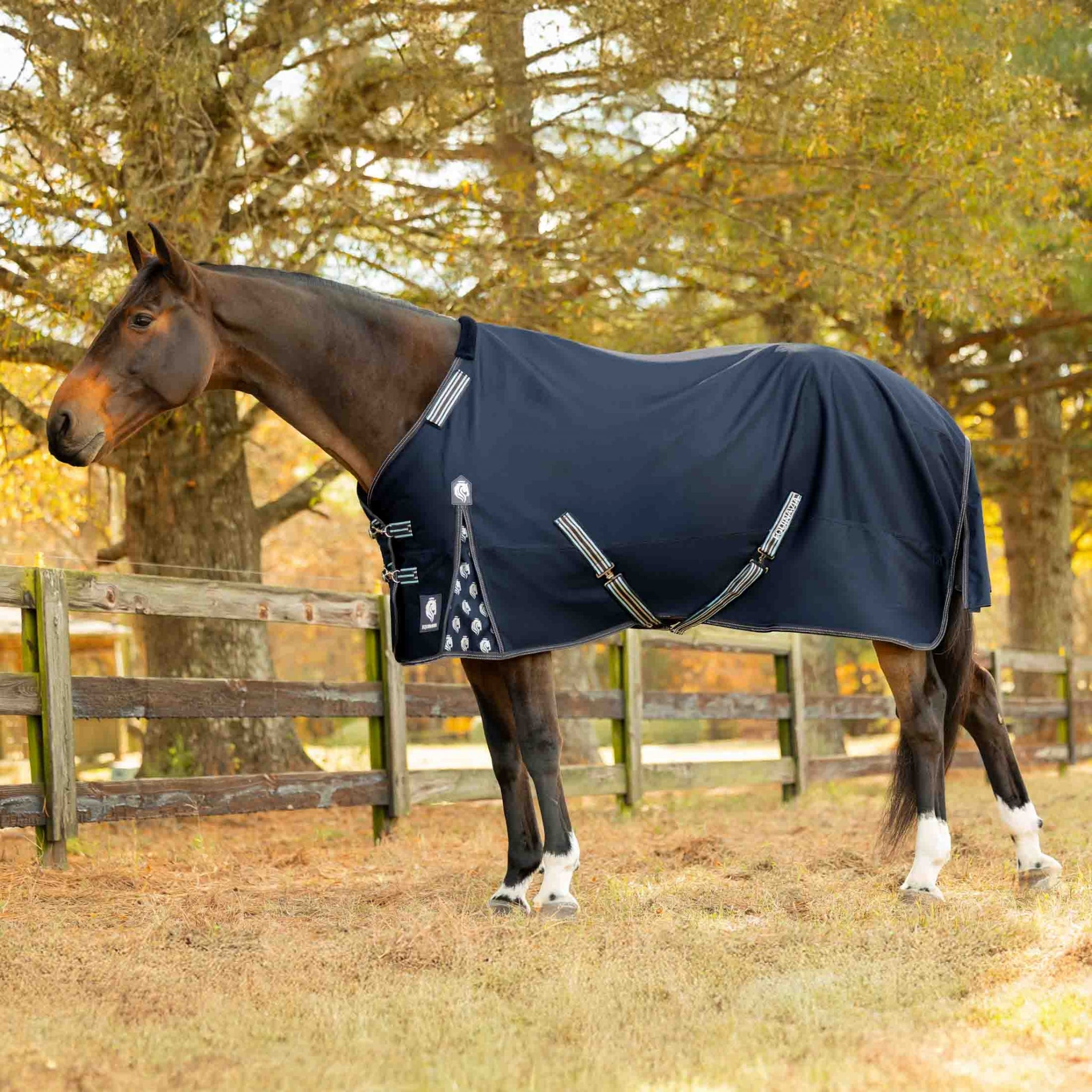 Equinavia Arktis Turnout Blanket 300g