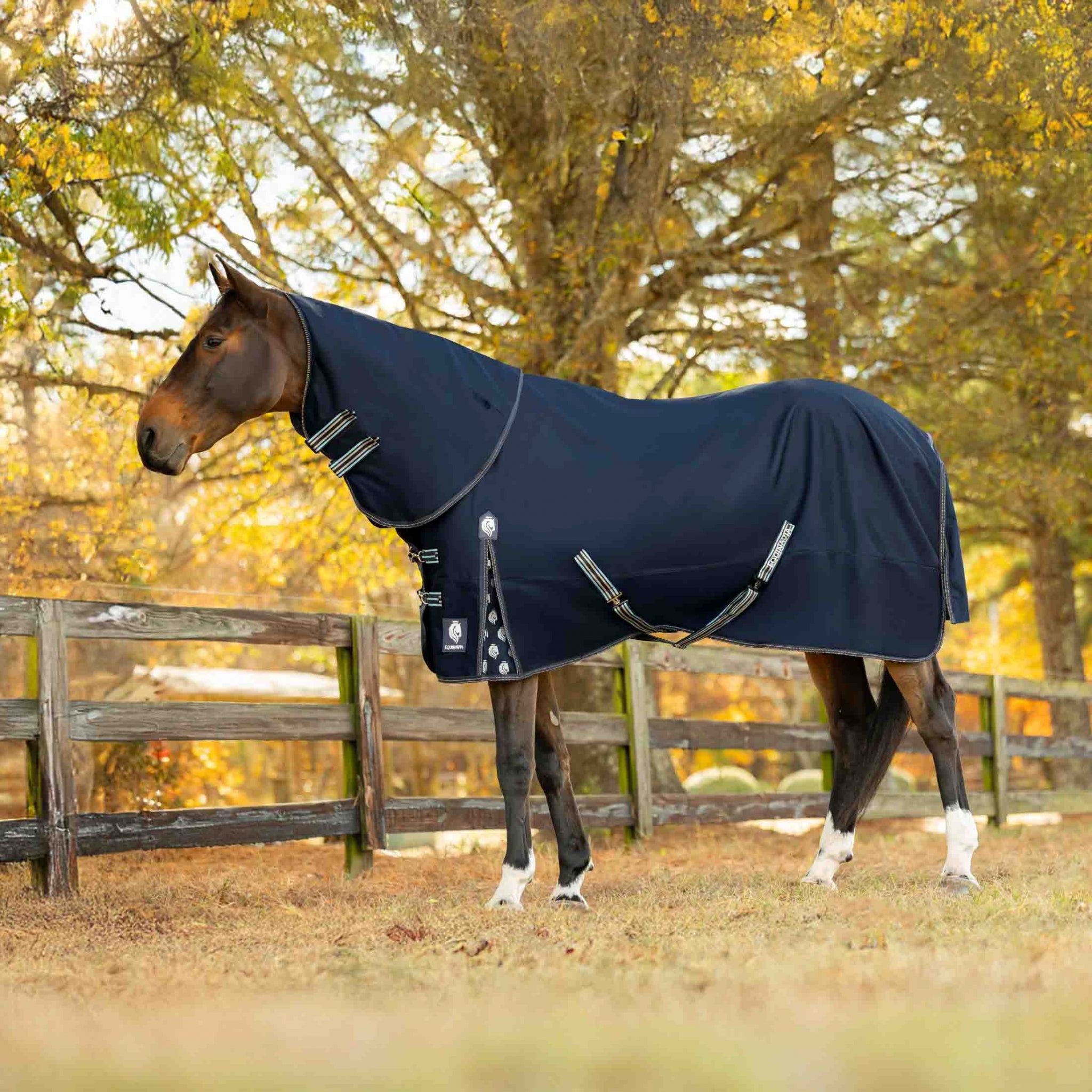Equinavia Arktis TO Blanket 100g