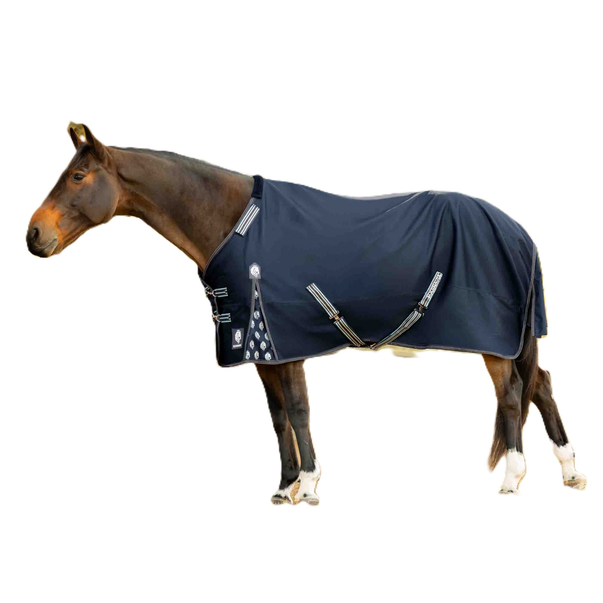 Equinavia Arktis TO Blanket 100g
