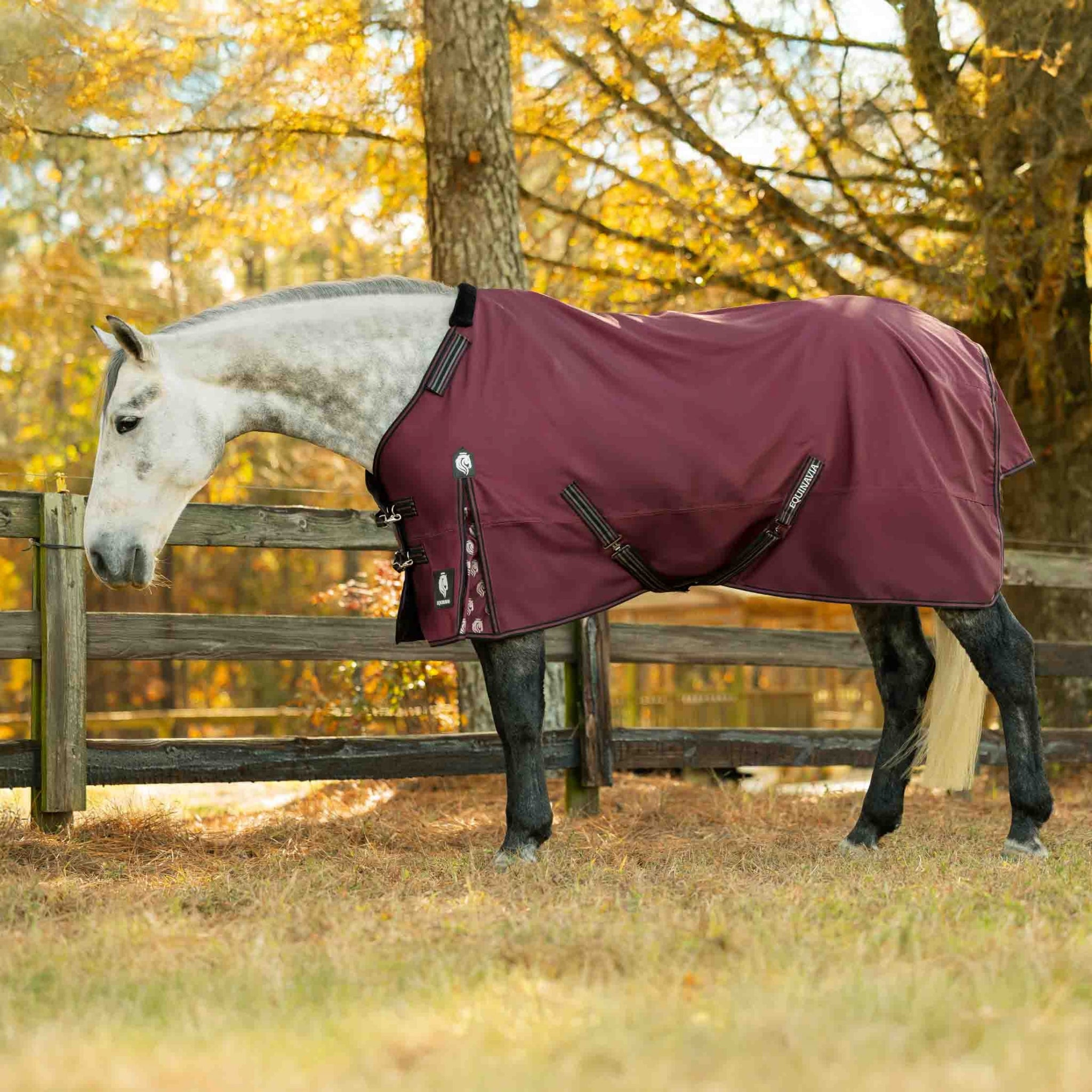 Equinavia Norse Heavy Weight Turnout Blanket 300g