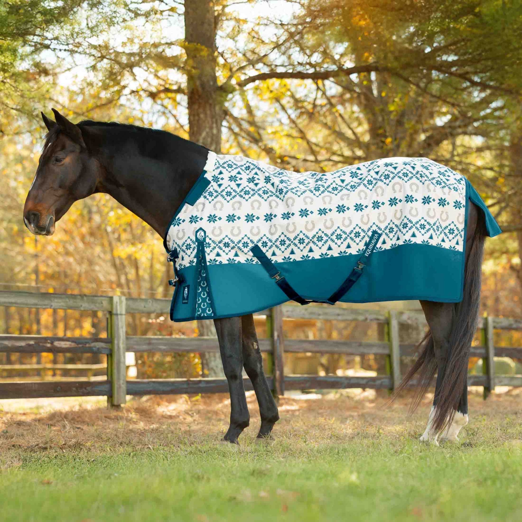 Equinavia Norse Heavy Weight Turnout Blanket 300g