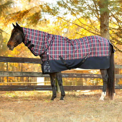 Equinavia Norse Heavy Weight Turnout Blanket 300g